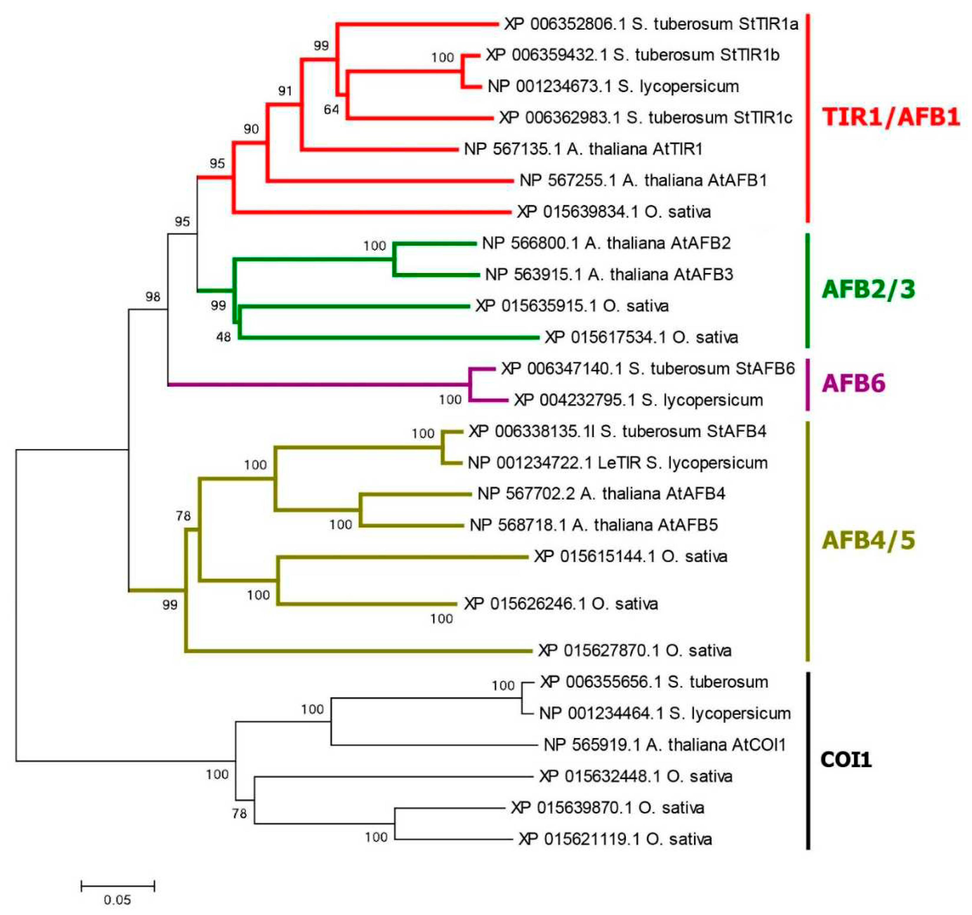 Preprints 73602 g002