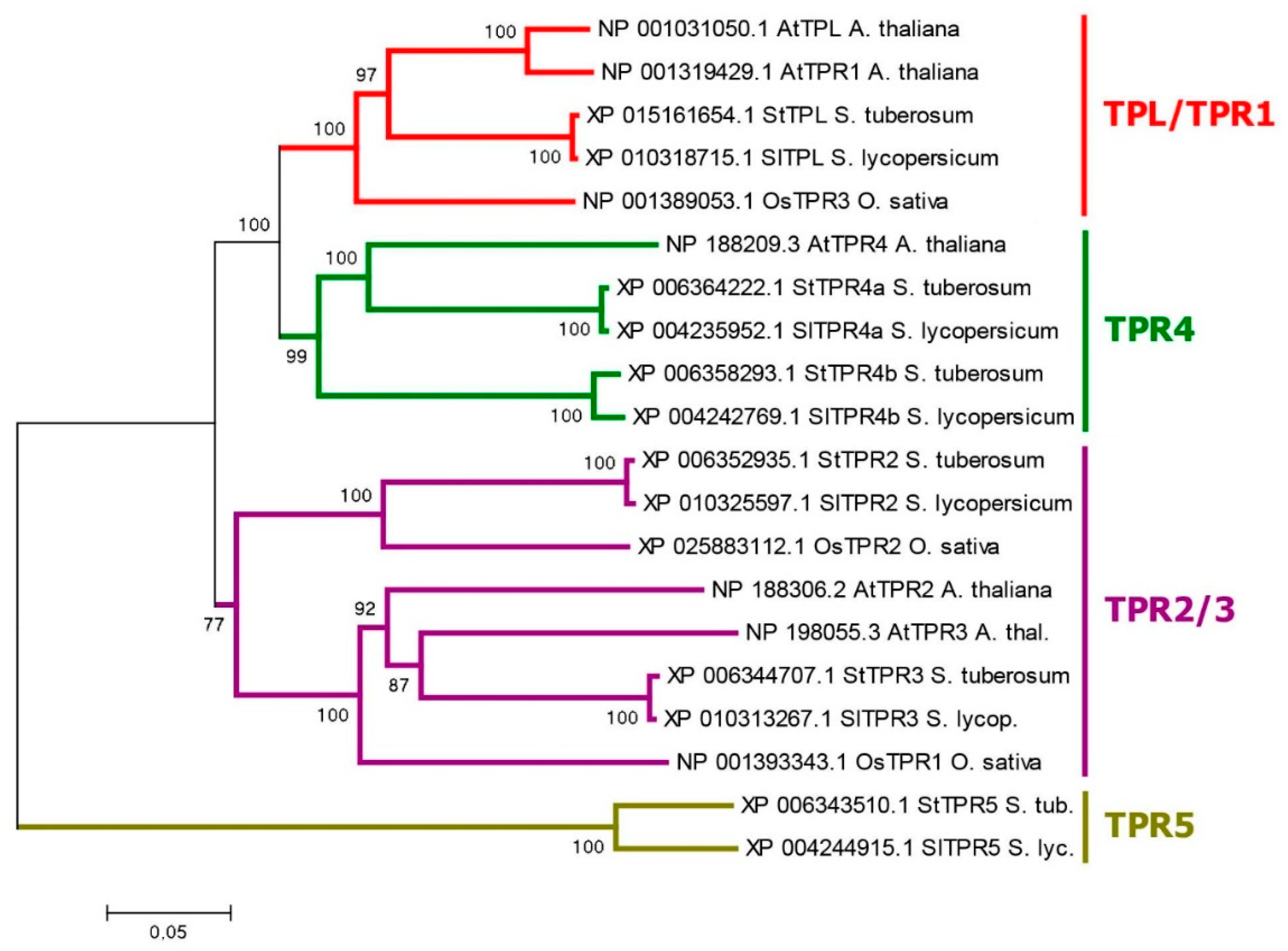 Preprints 73602 g005