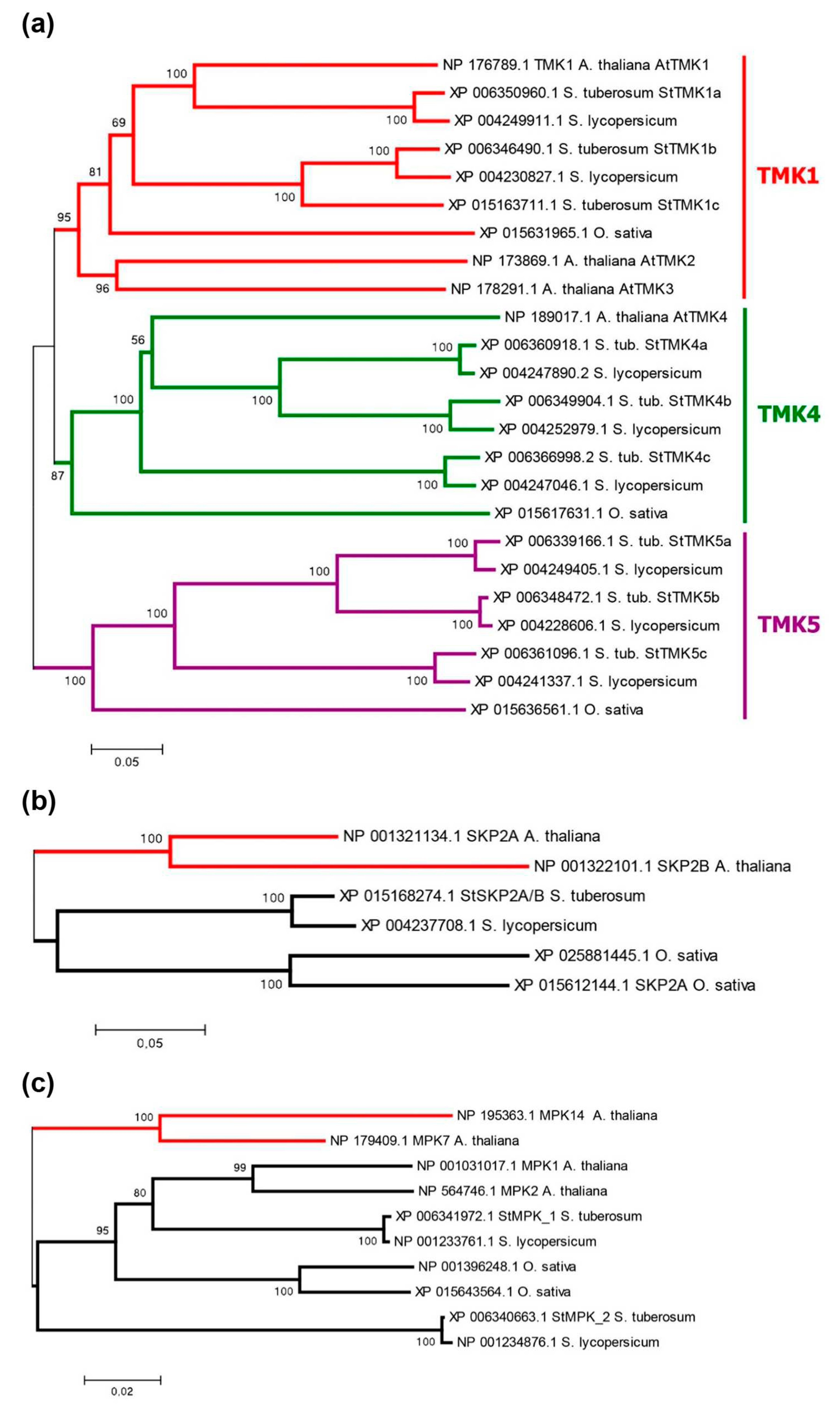 Preprints 73602 g006