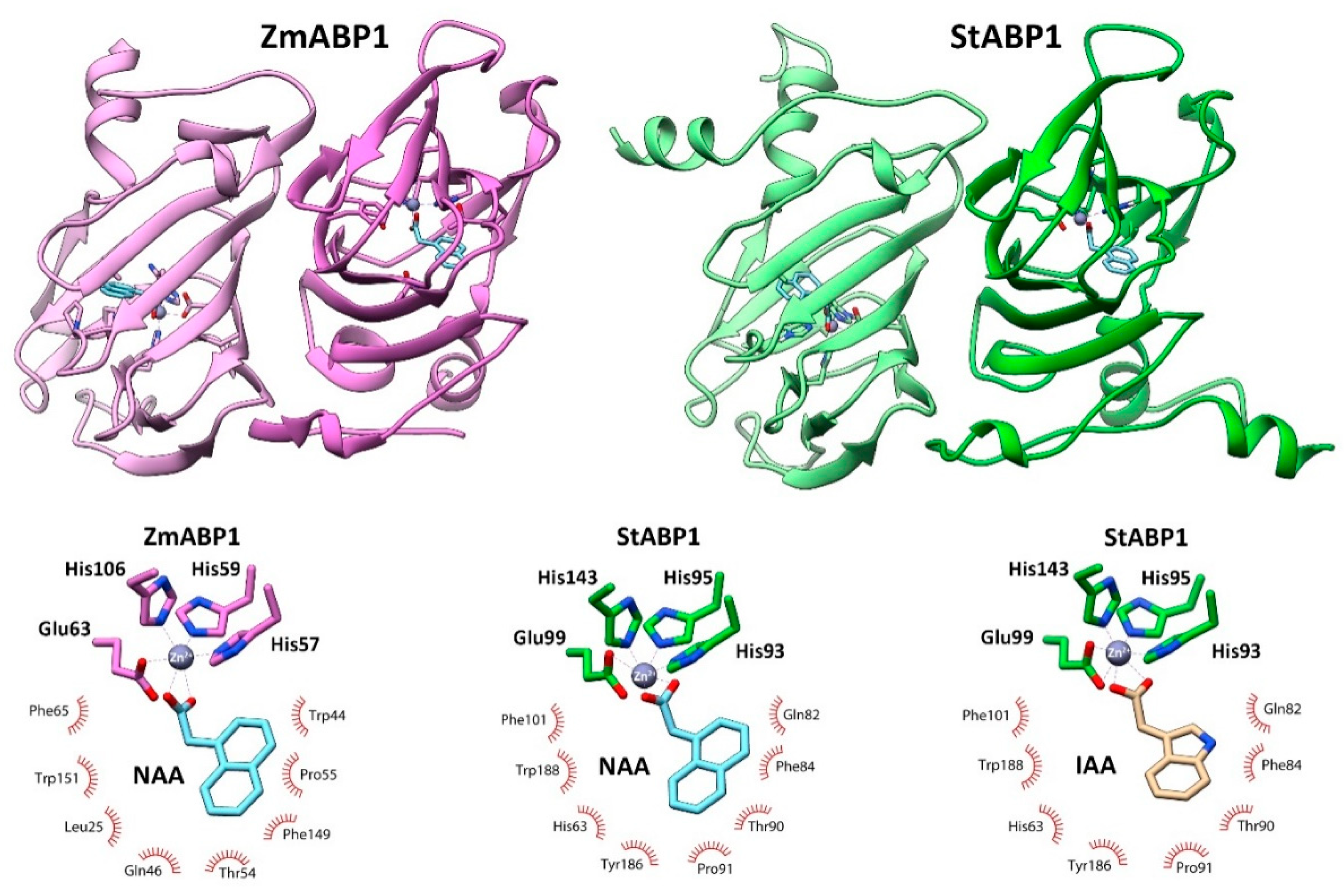 Preprints 73602 g009