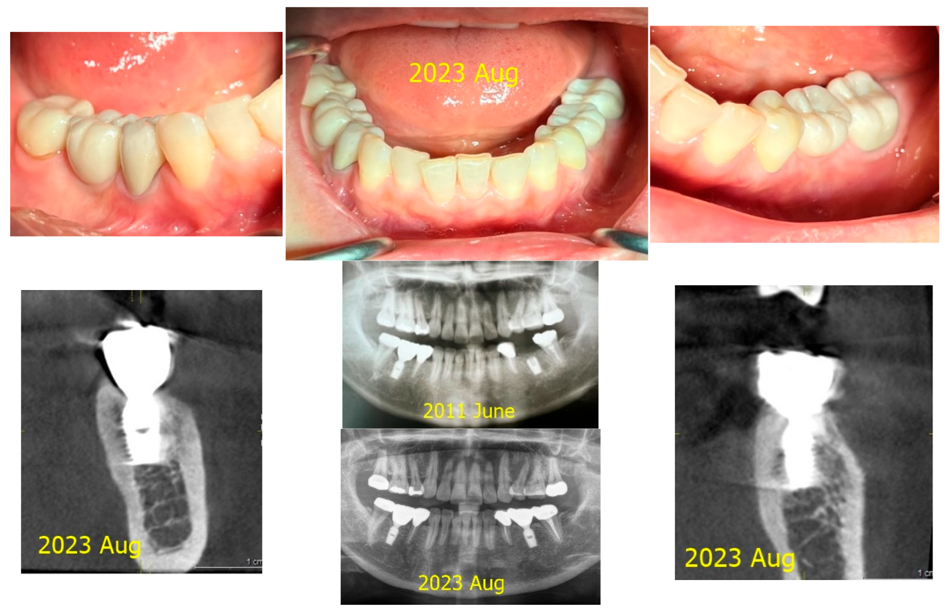Preprints 151394 g001