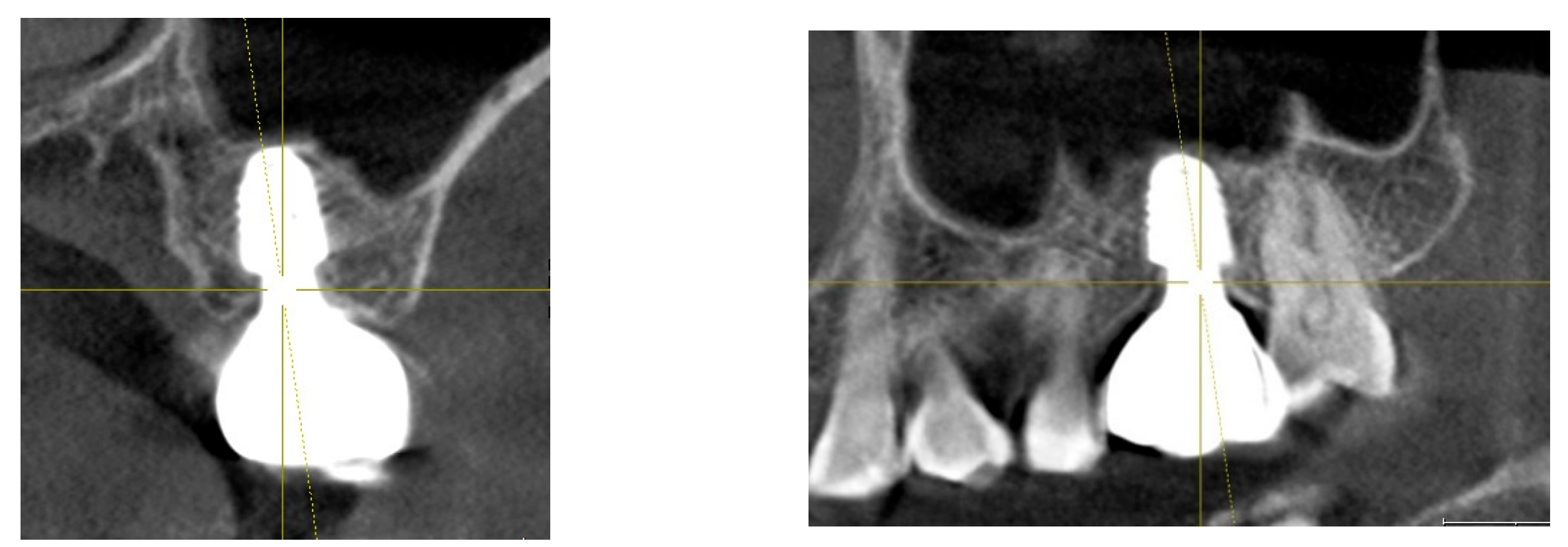 Preprints 151394 g005