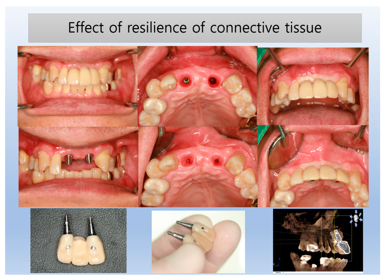 Preprints 151394 g012