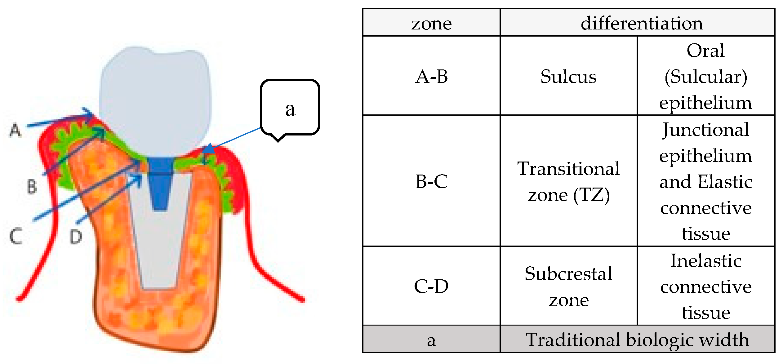 Preprints 151394 g013