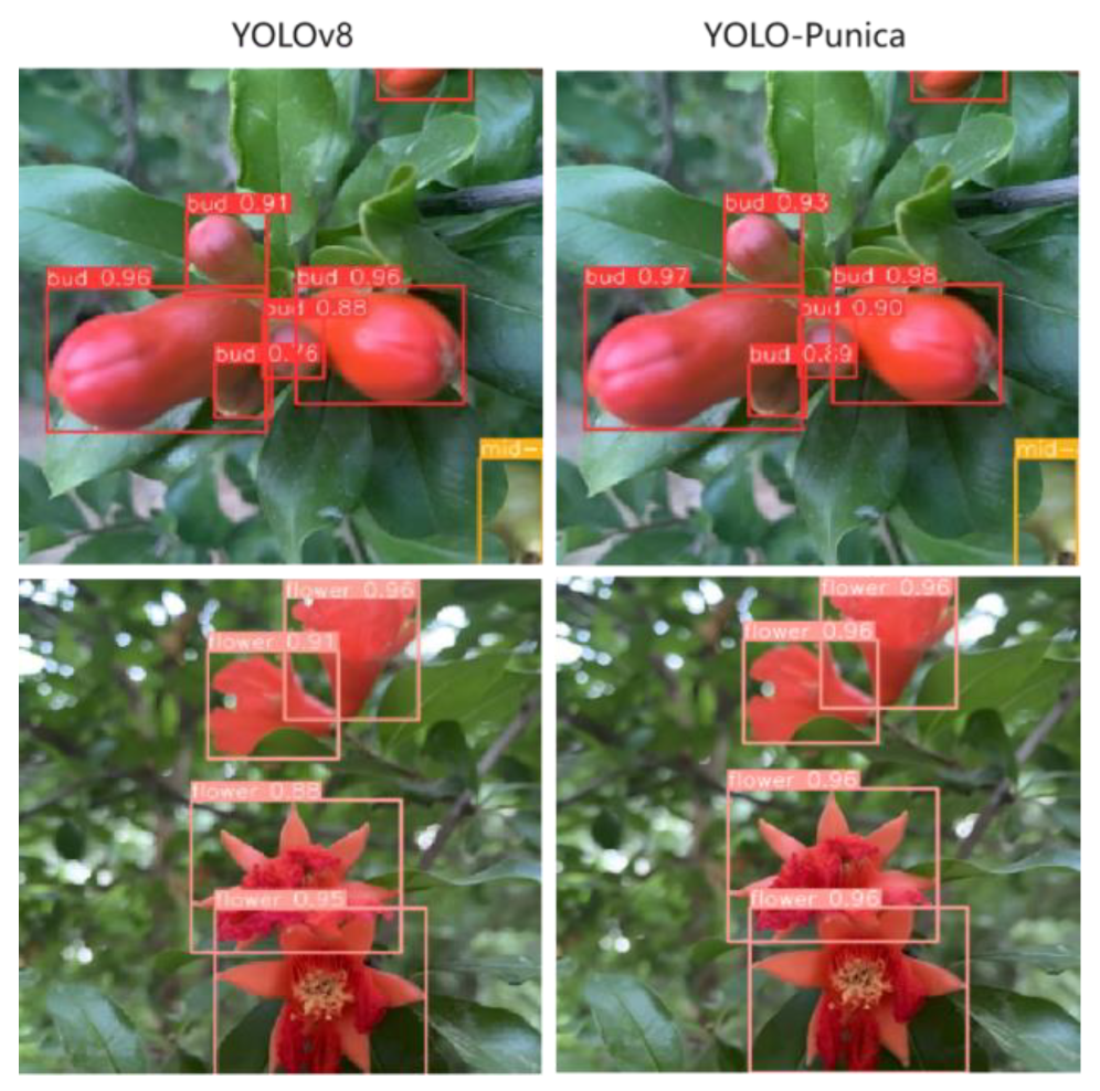 Preprints 145597 g009