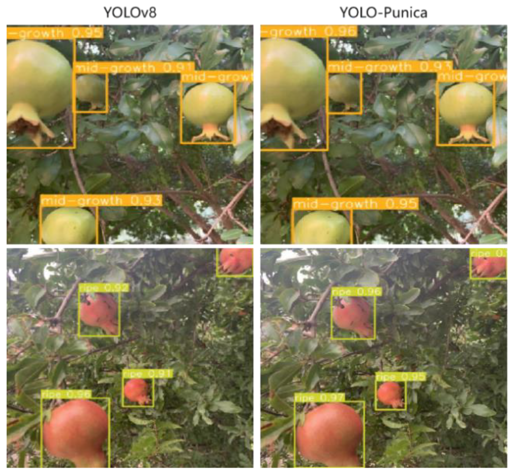 Preprints 145597 g010