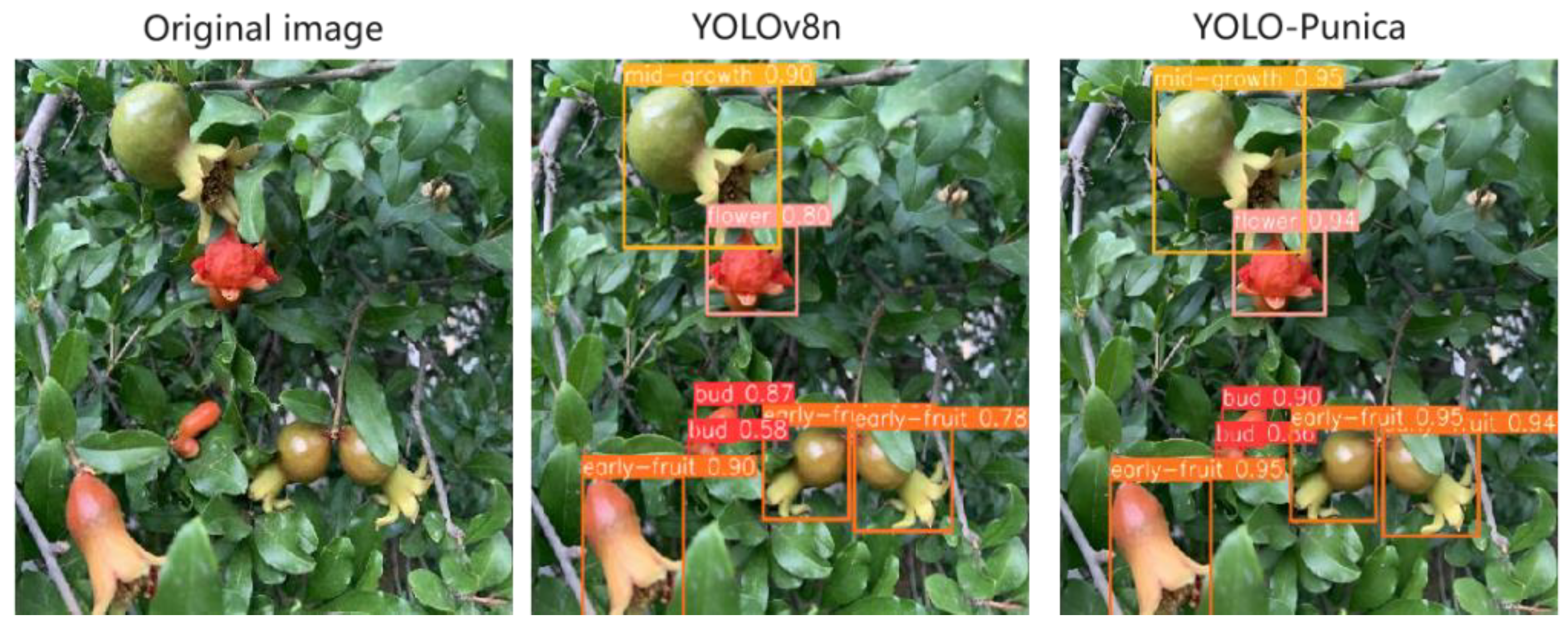 Preprints 145597 g011