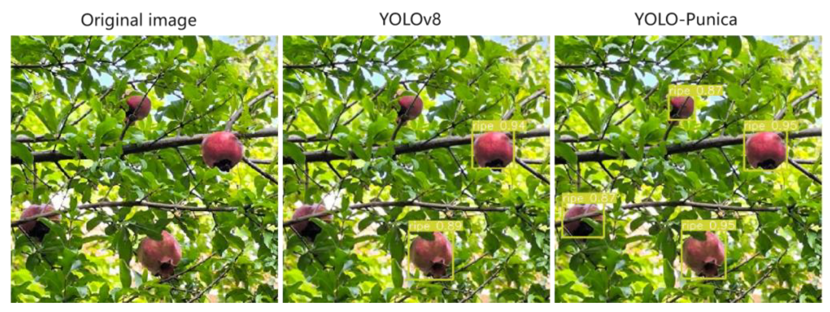 Preprints 145597 g012