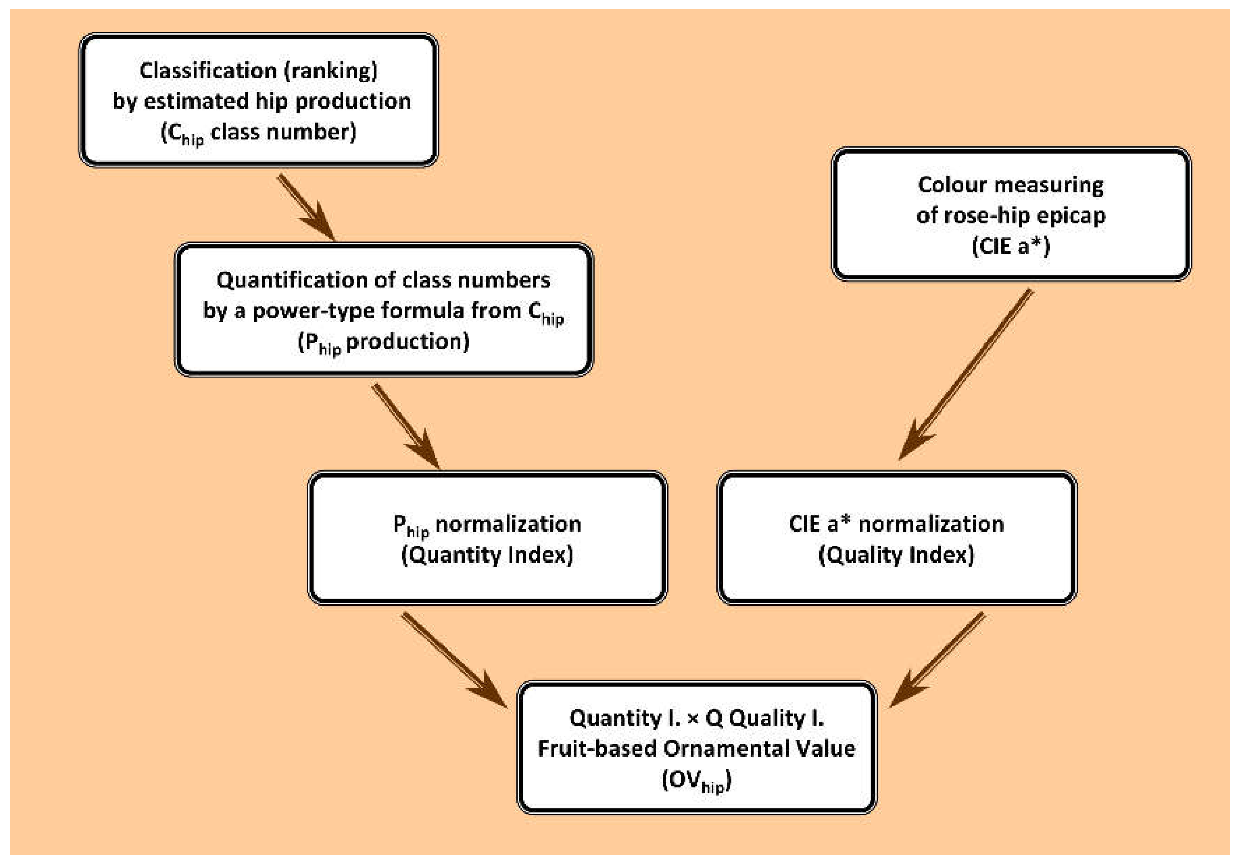 Preprints 219020 g003