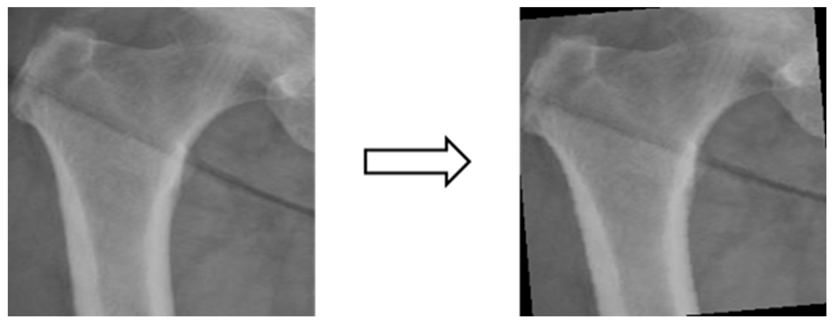 Preprints 87203 g005