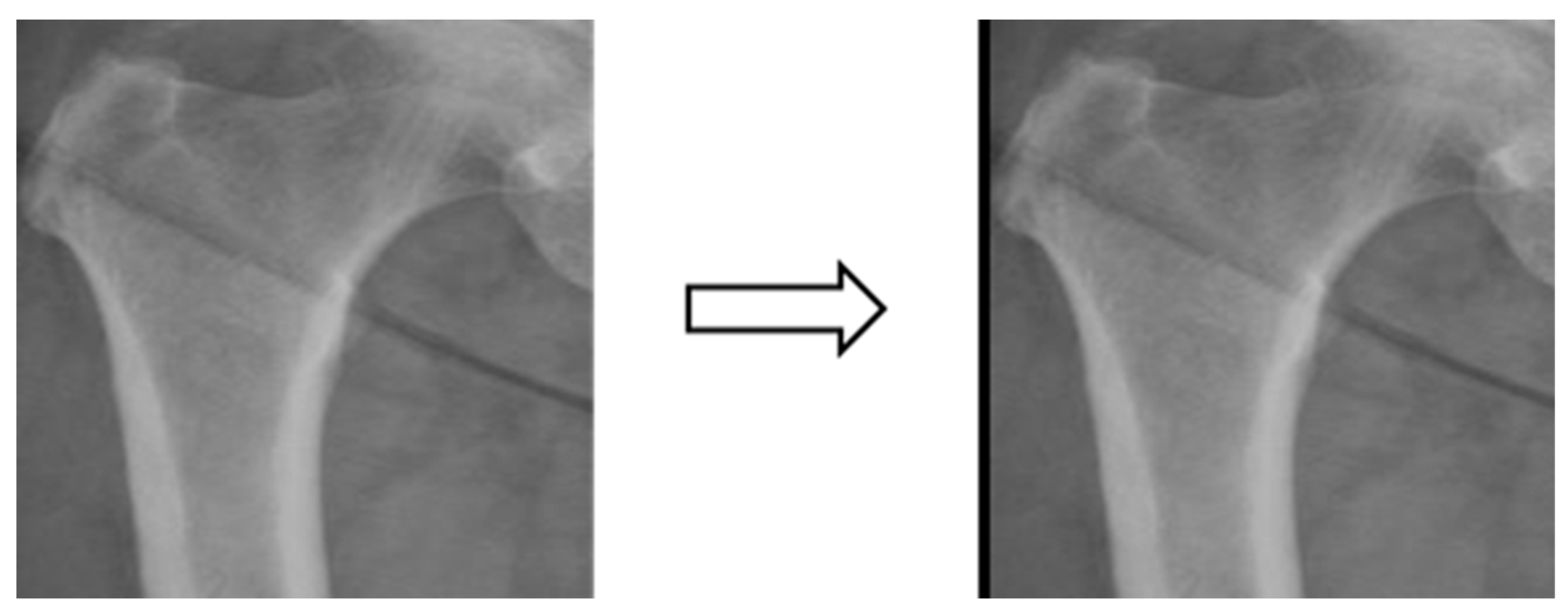 Preprints 87203 g006
