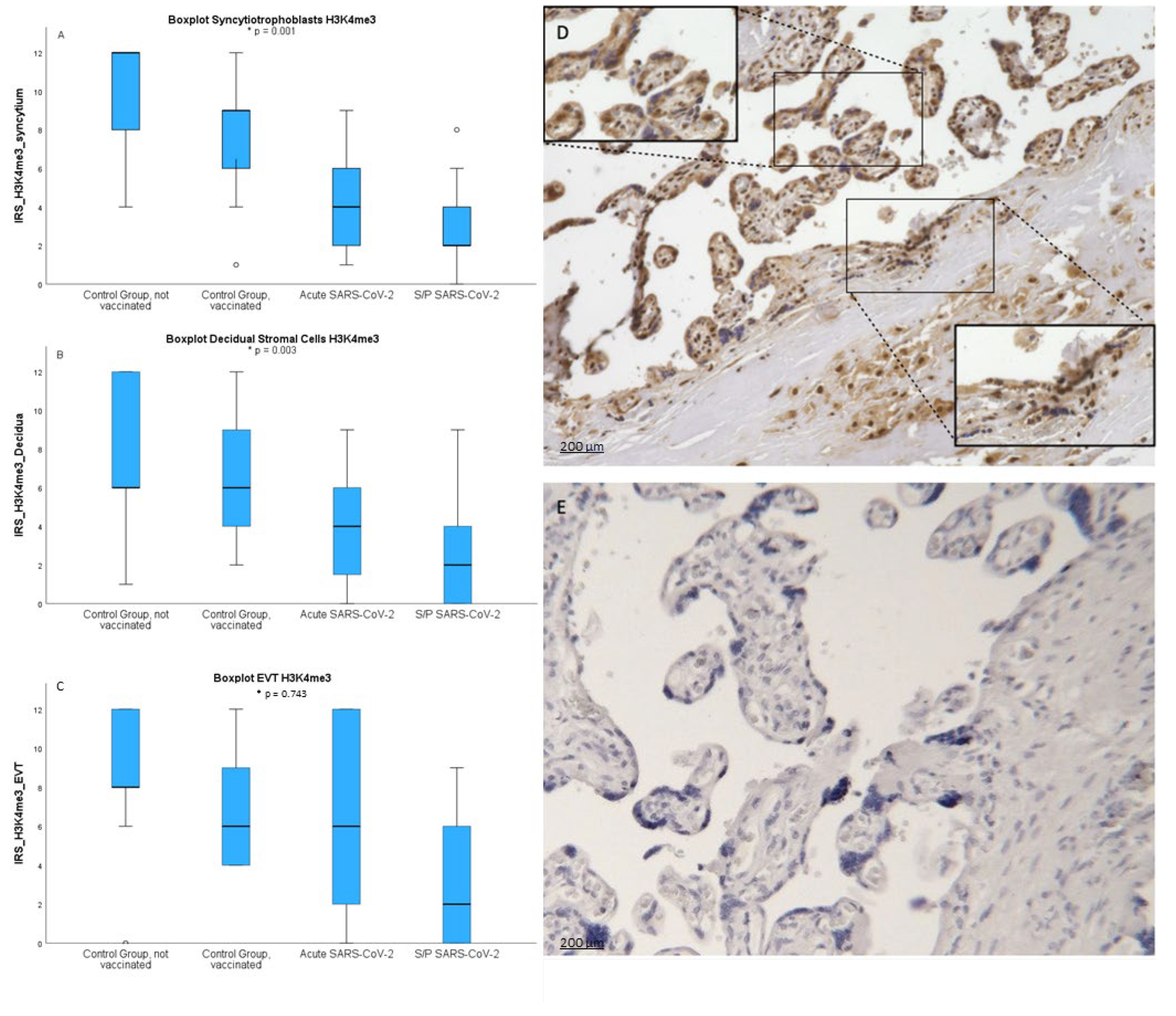 Preprints 159280 g001