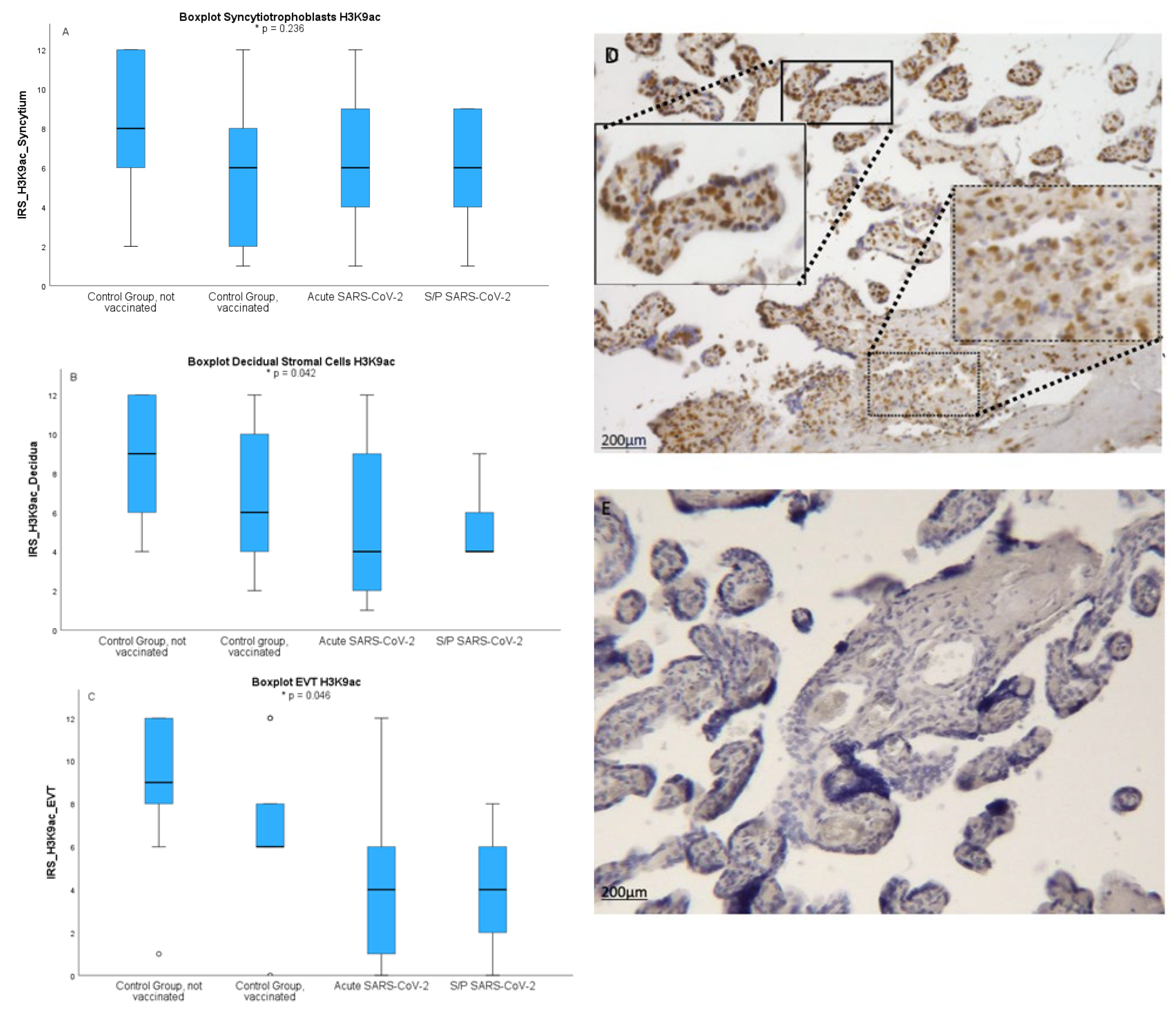 Preprints 159280 g002