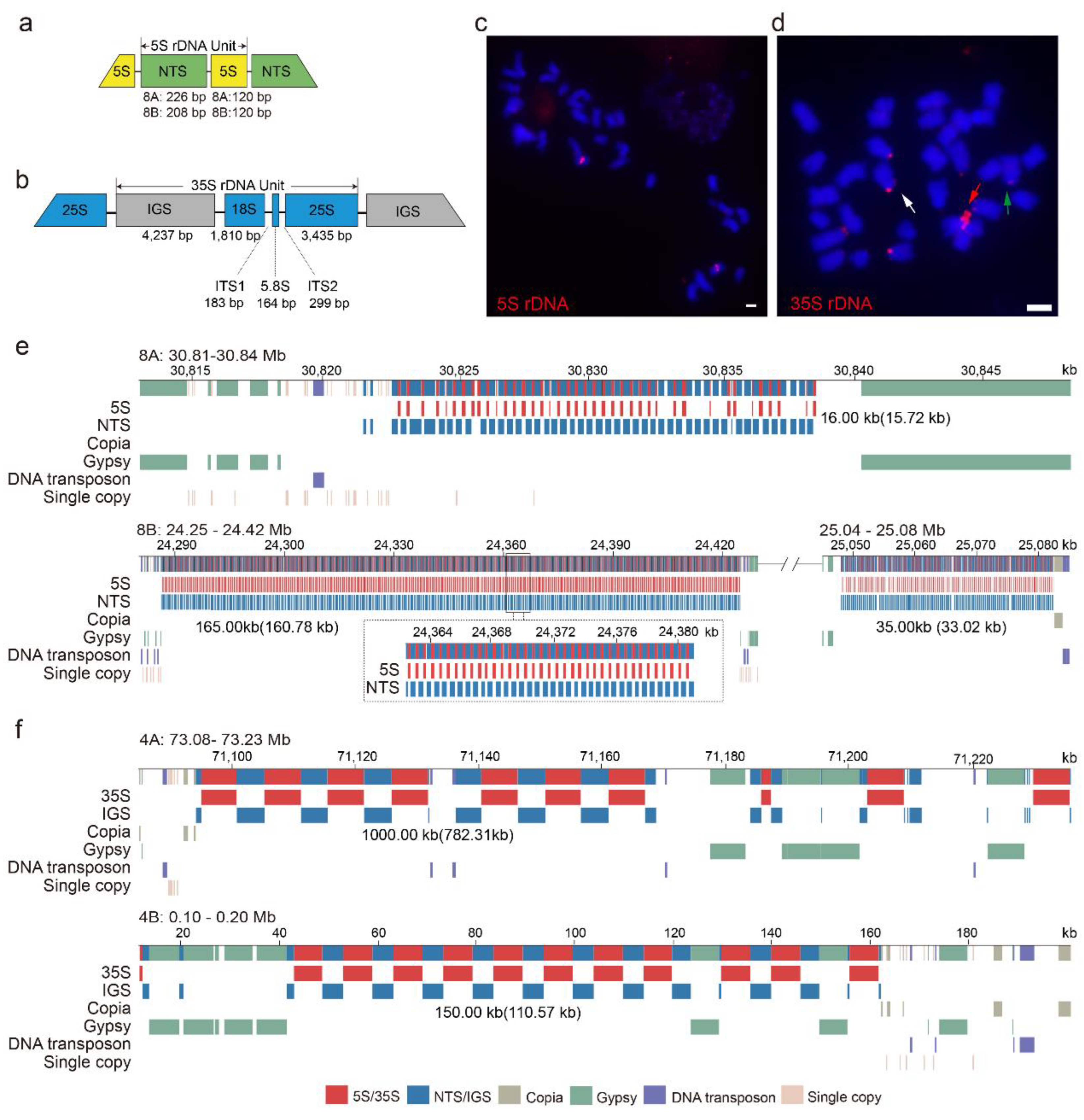 Preprints 142488 g005