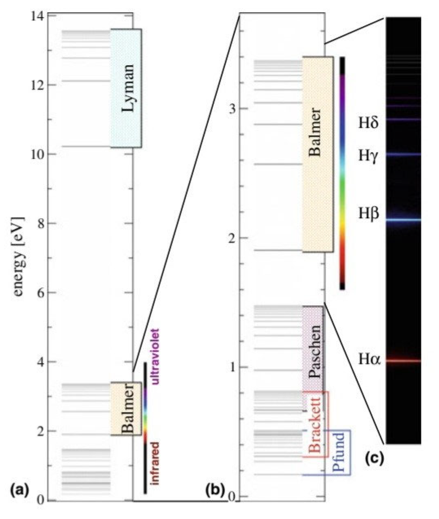 Preprints 151532 g002