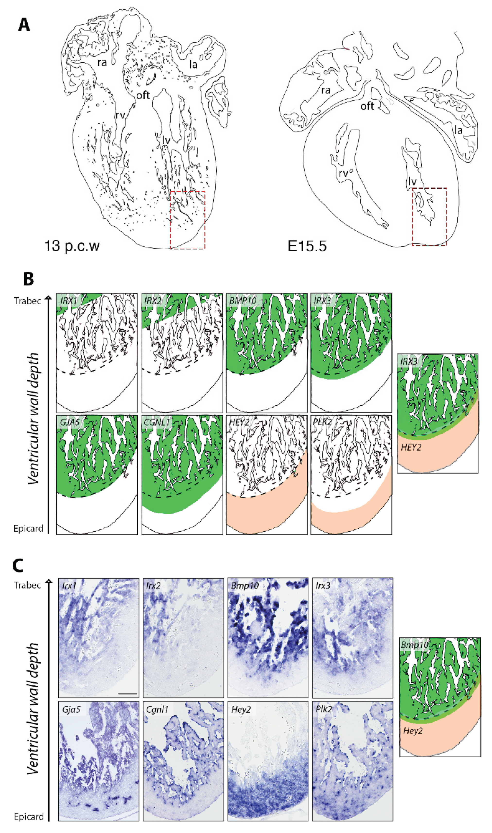 Preprints 160767 g001