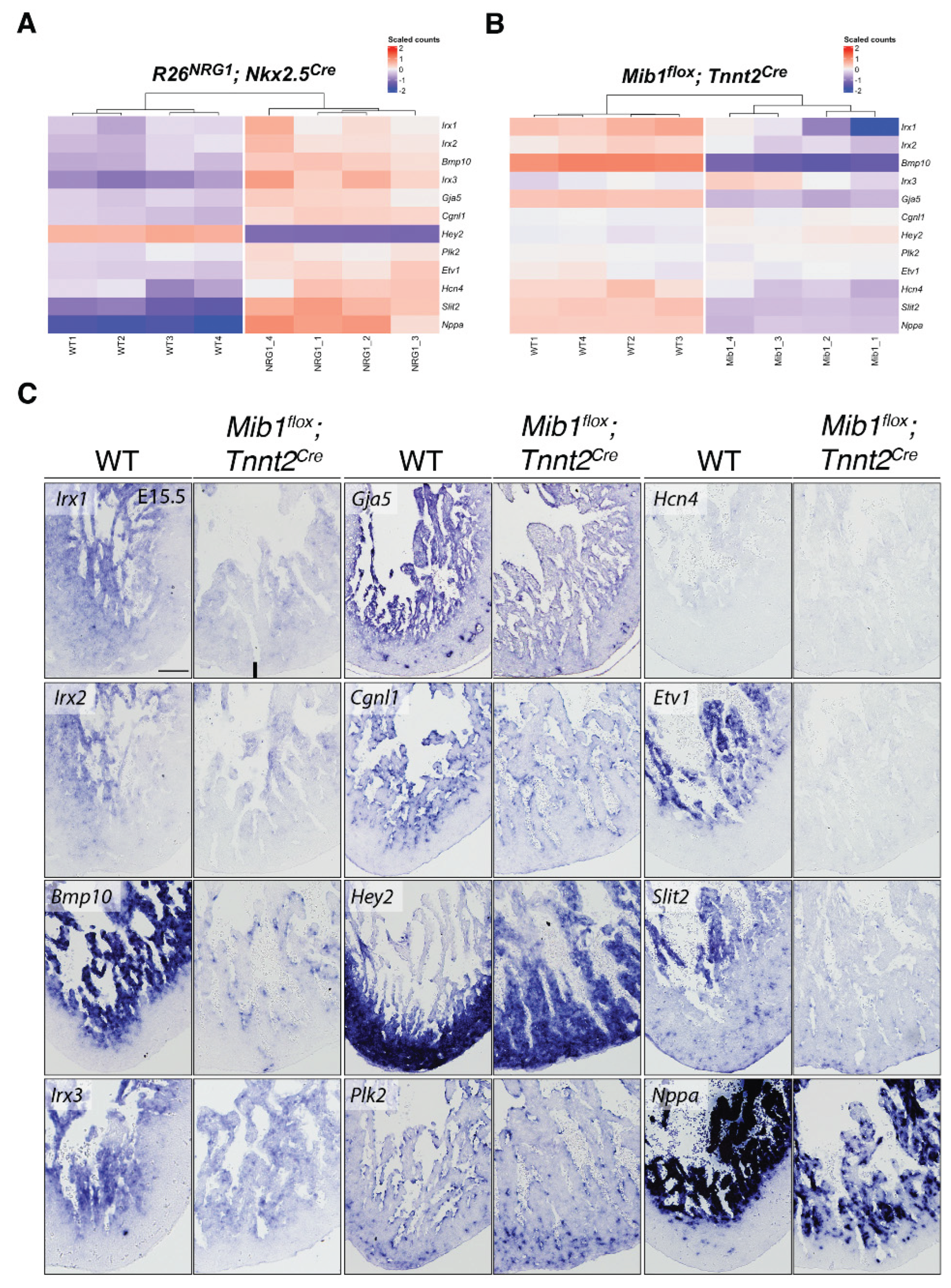 Preprints 160767 g002