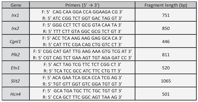 Preprints 160767 i001