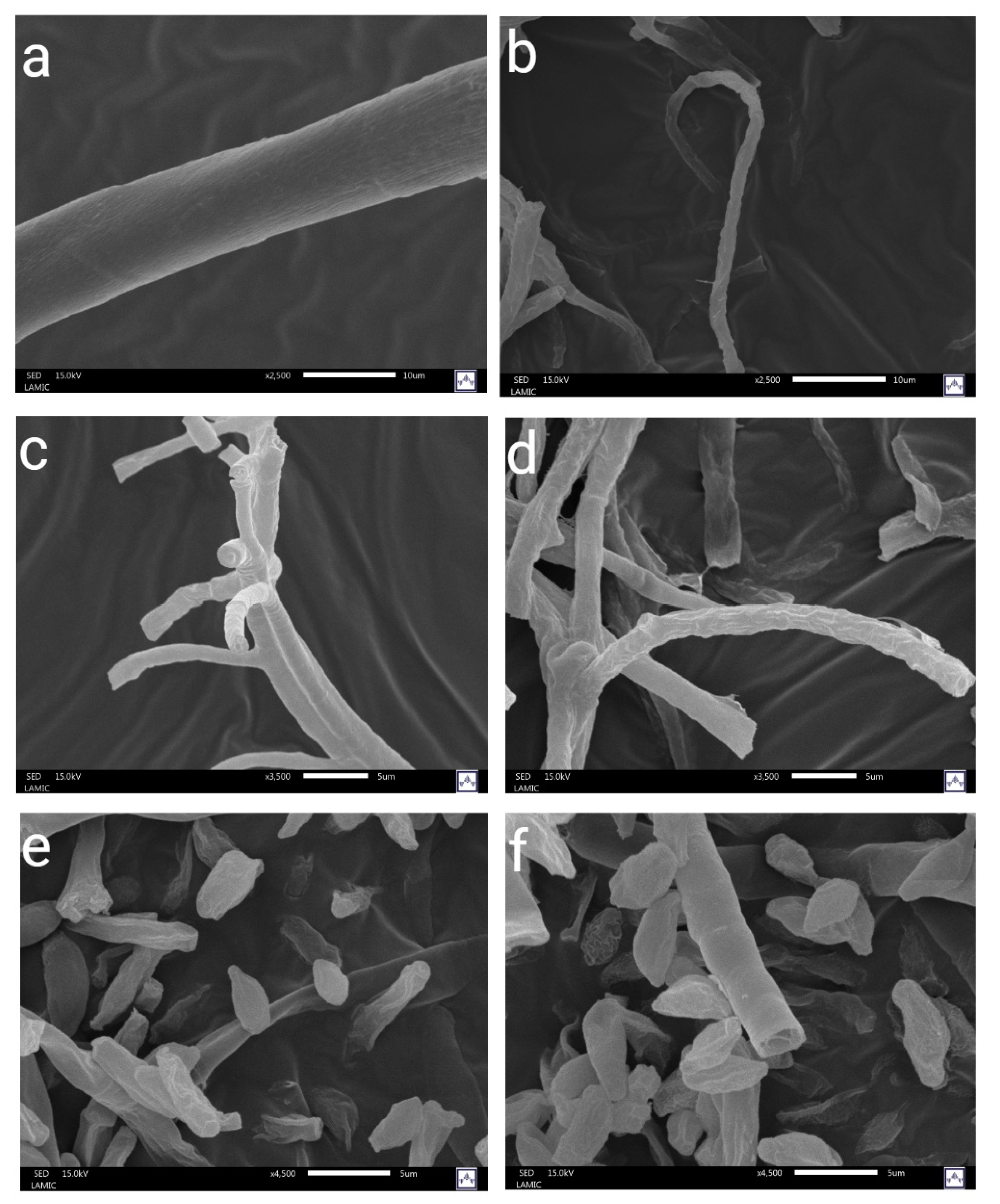 Preprints 196133 g003