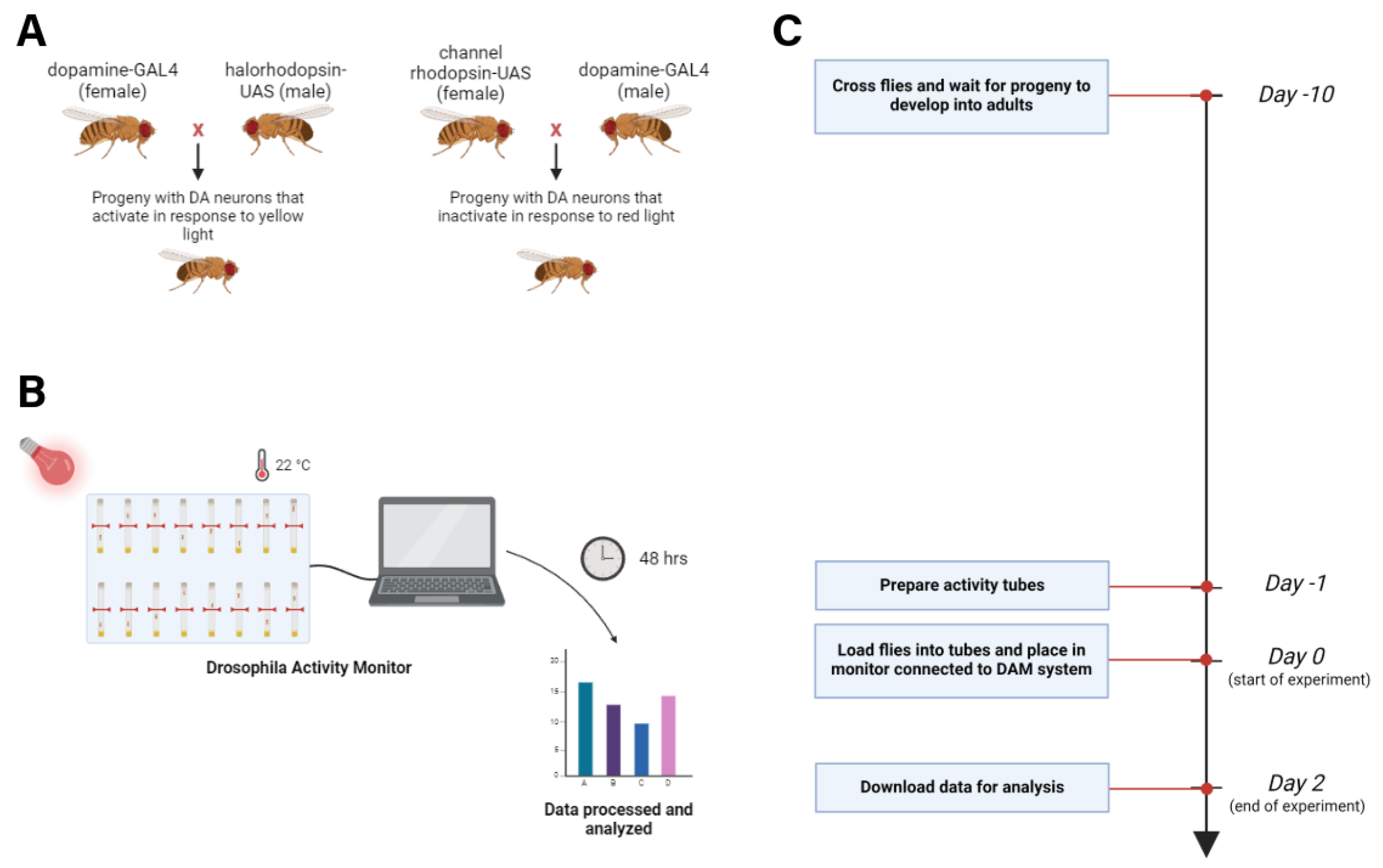 Preprints 159302 g001