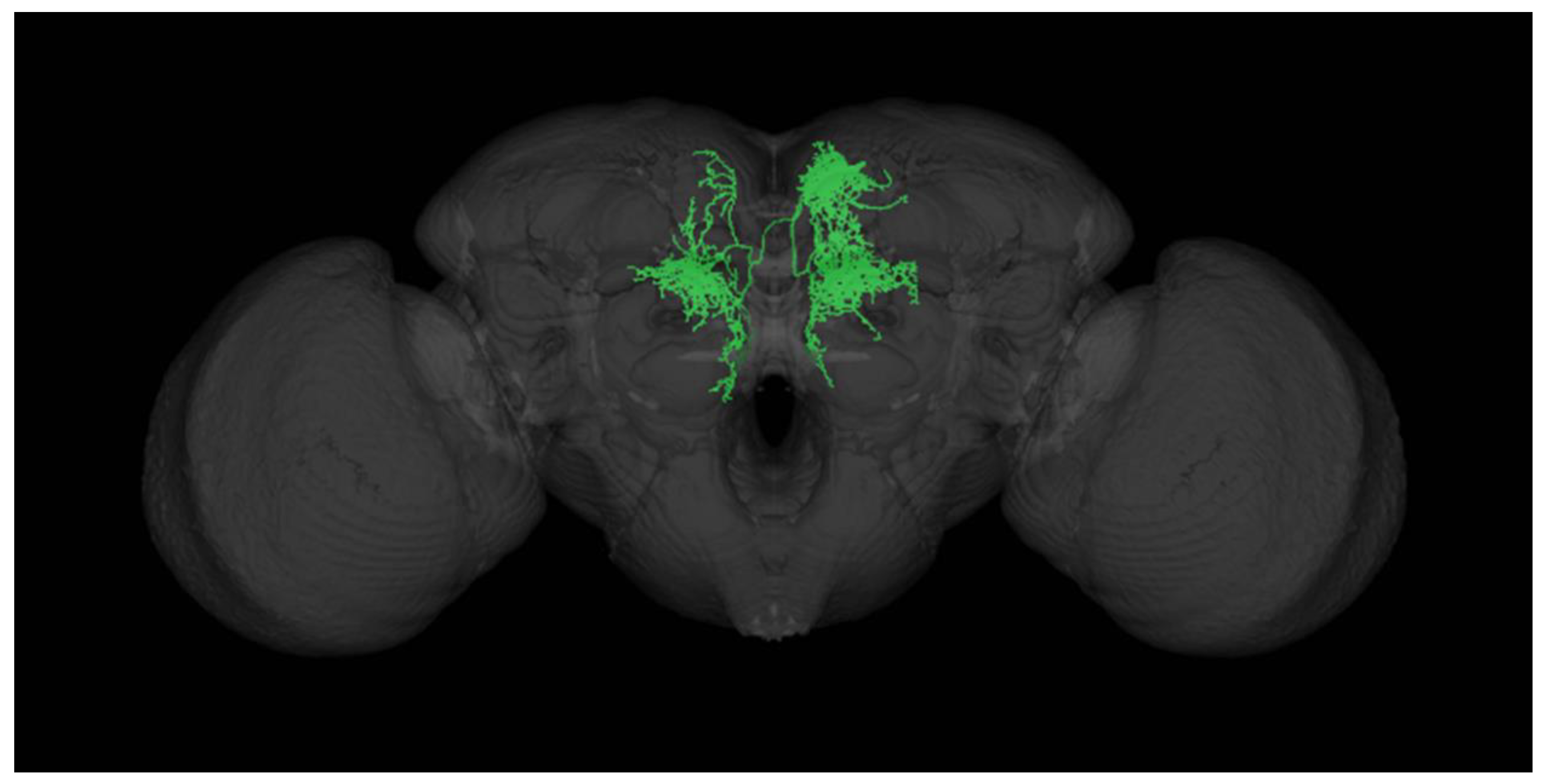 Preprints 159302 g002