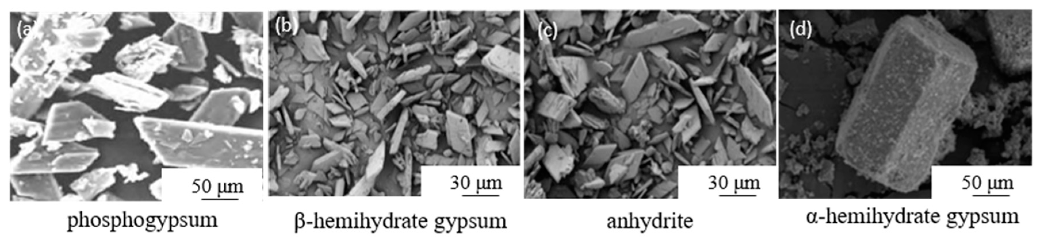 Preprints 85952 g001