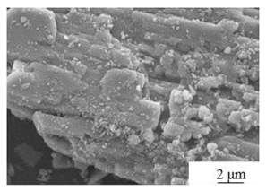 Preprints 85952 i001