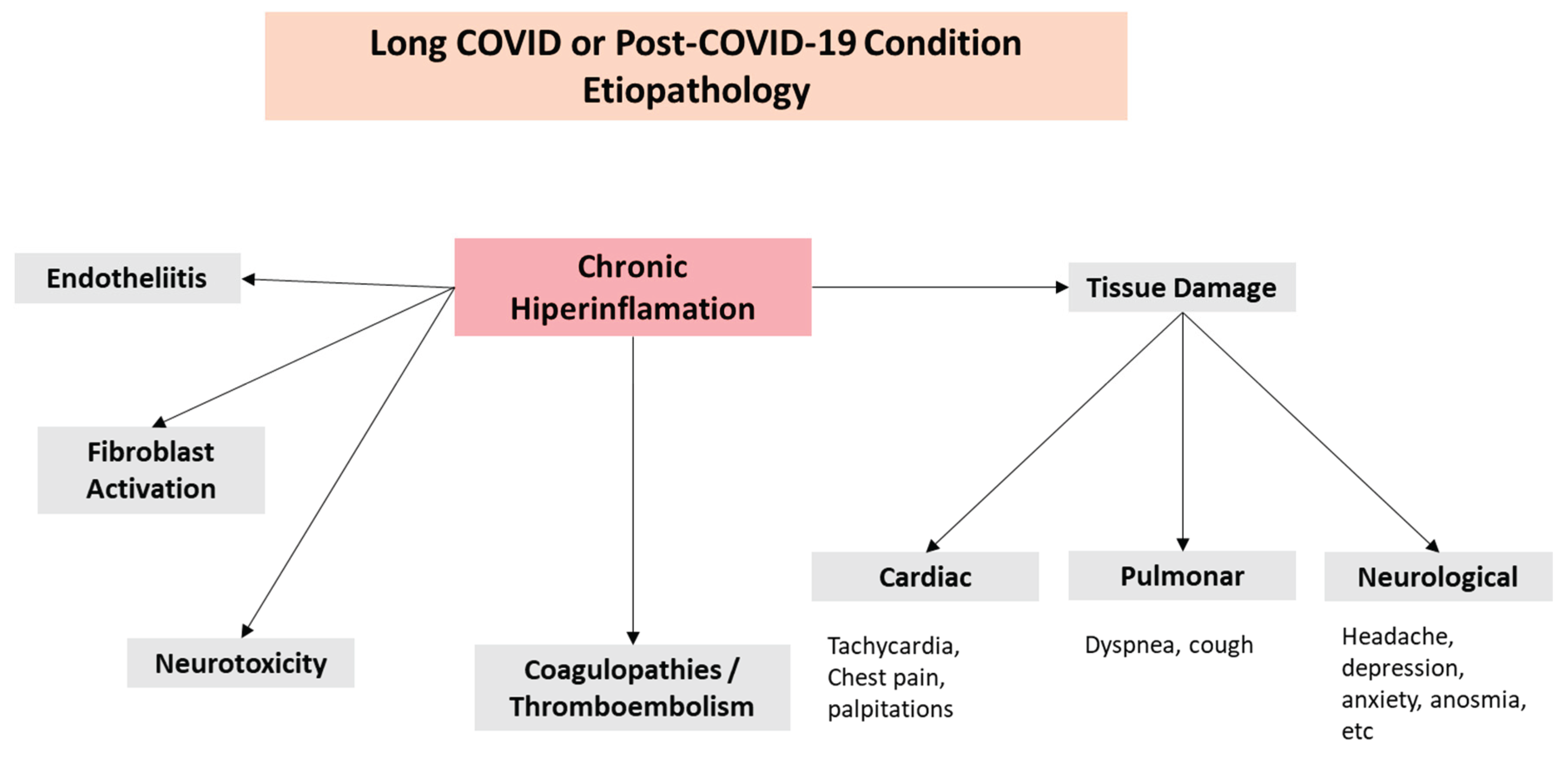 Preprints 165511 g002