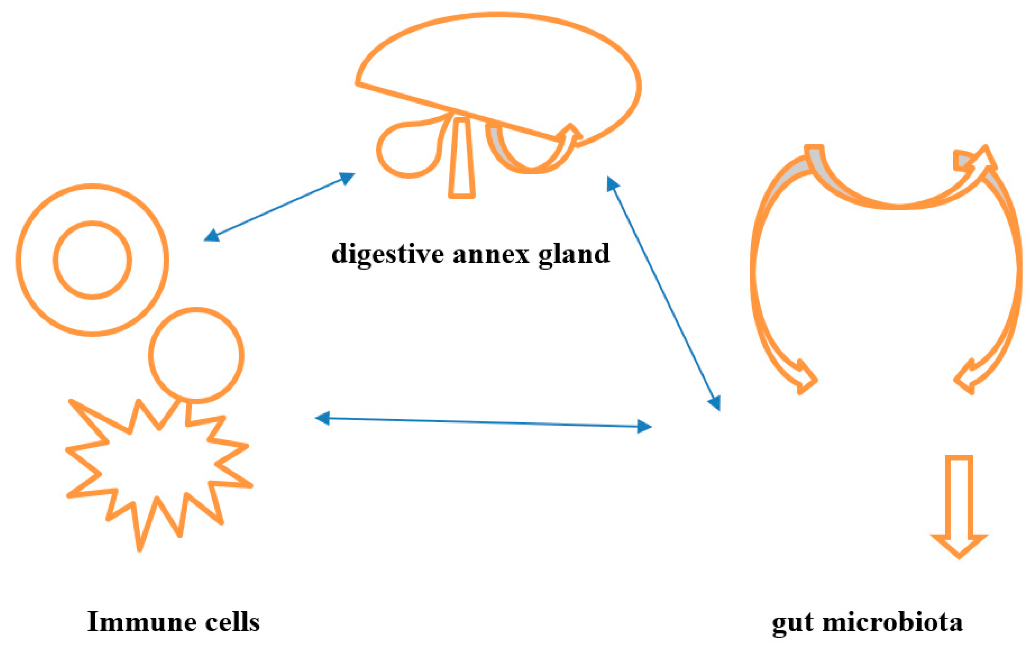 Preprints 164395 g001