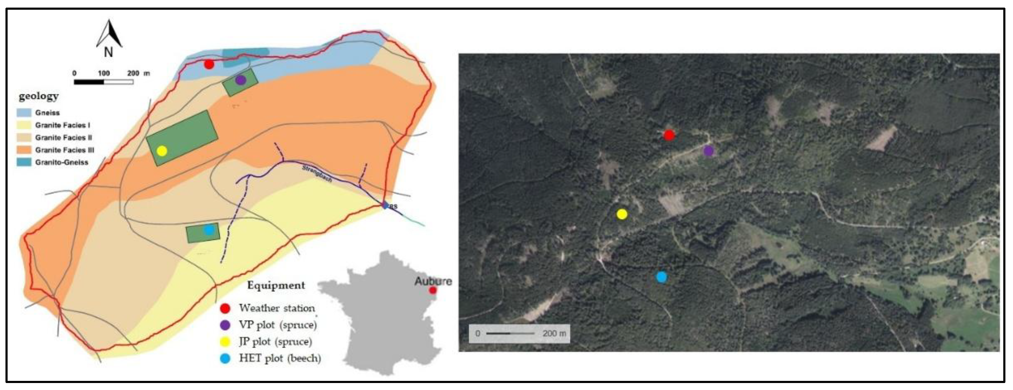 Preprints 186139 g001