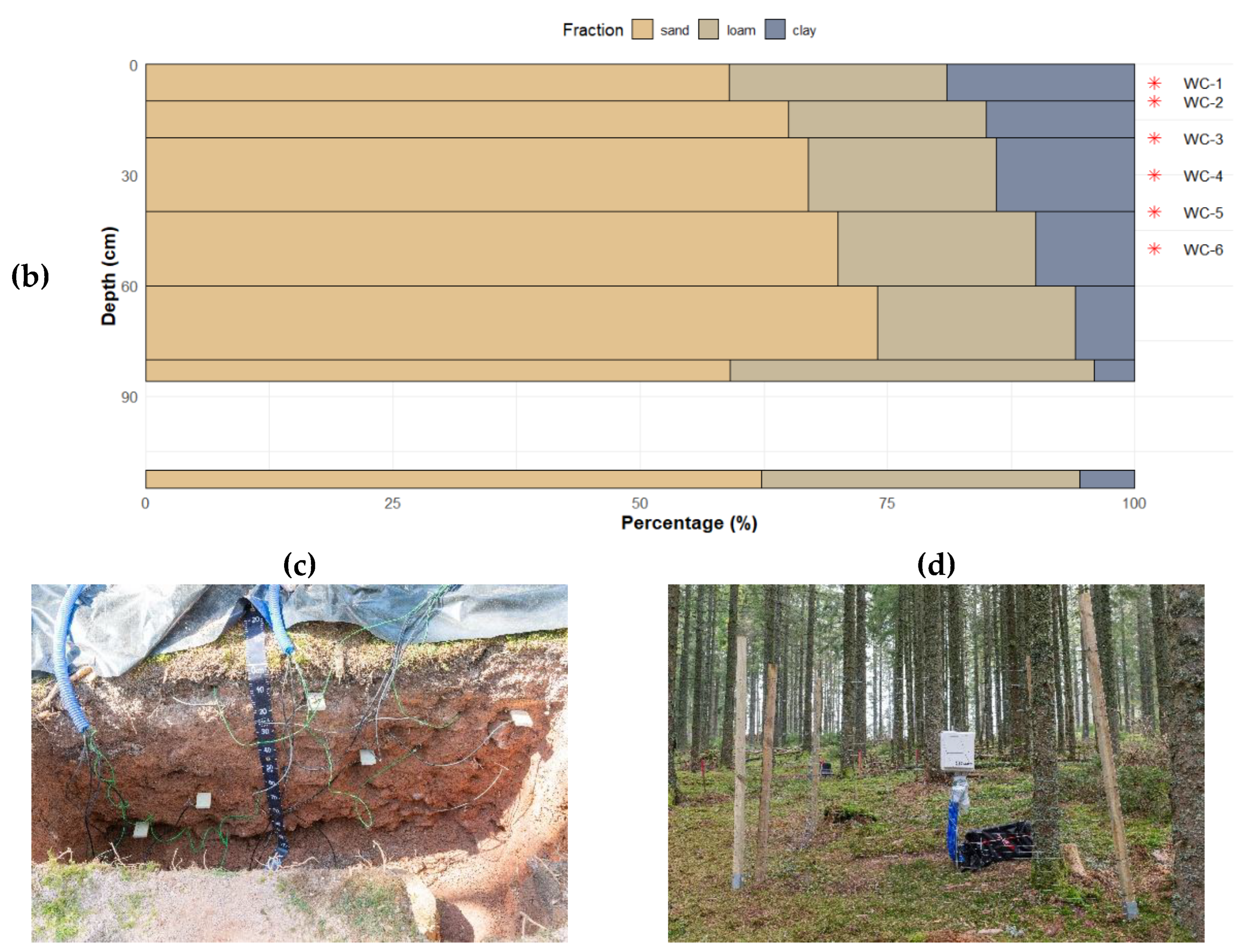 Preprints 186139 g002b