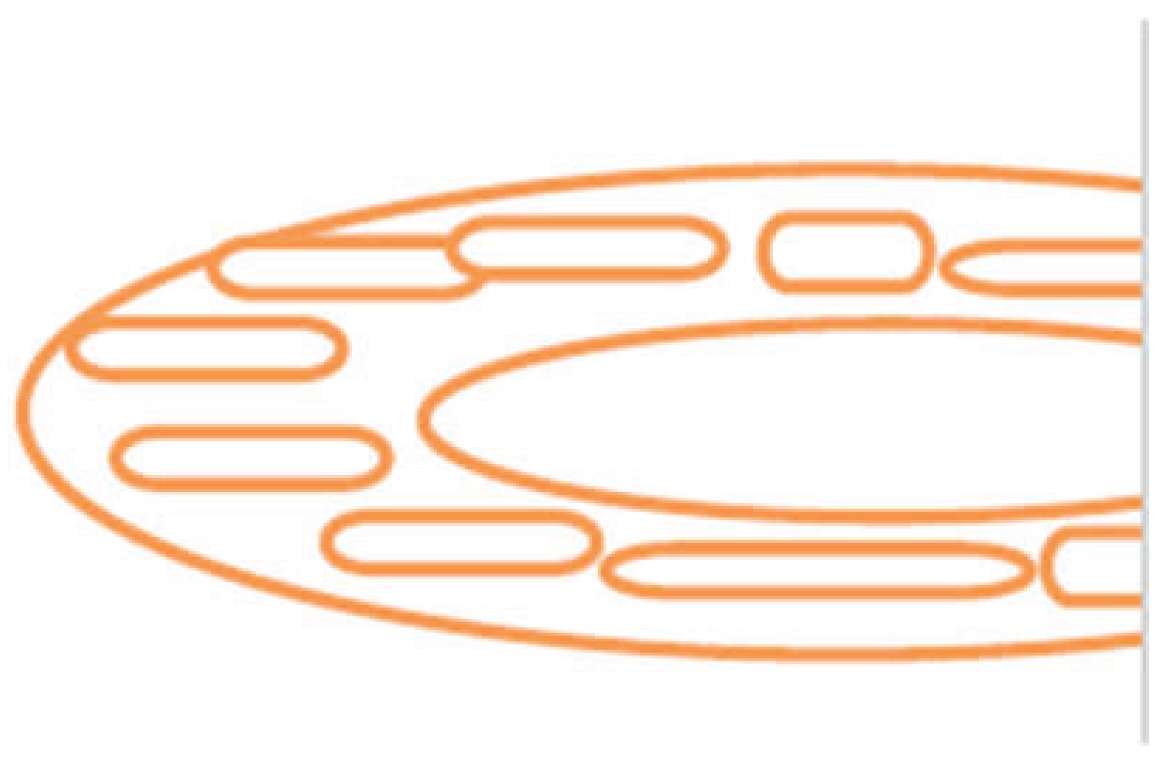 Preprints 192885 g001