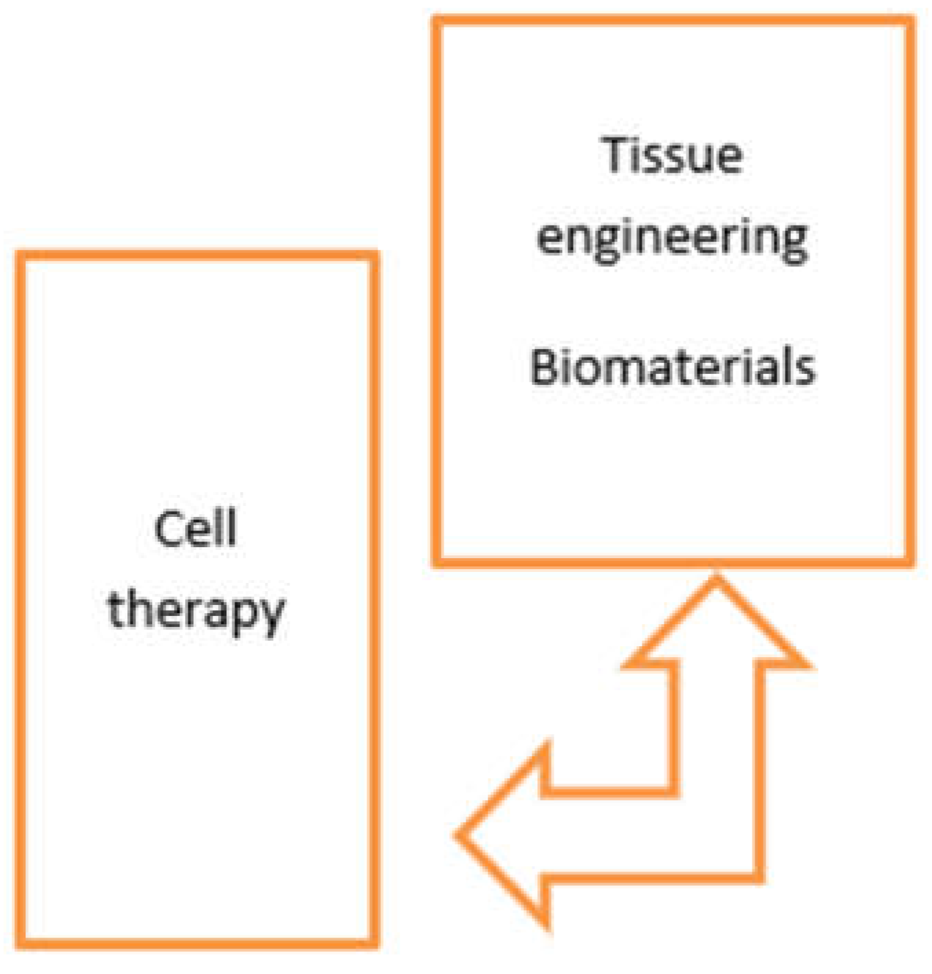 Preprints 192885 g002