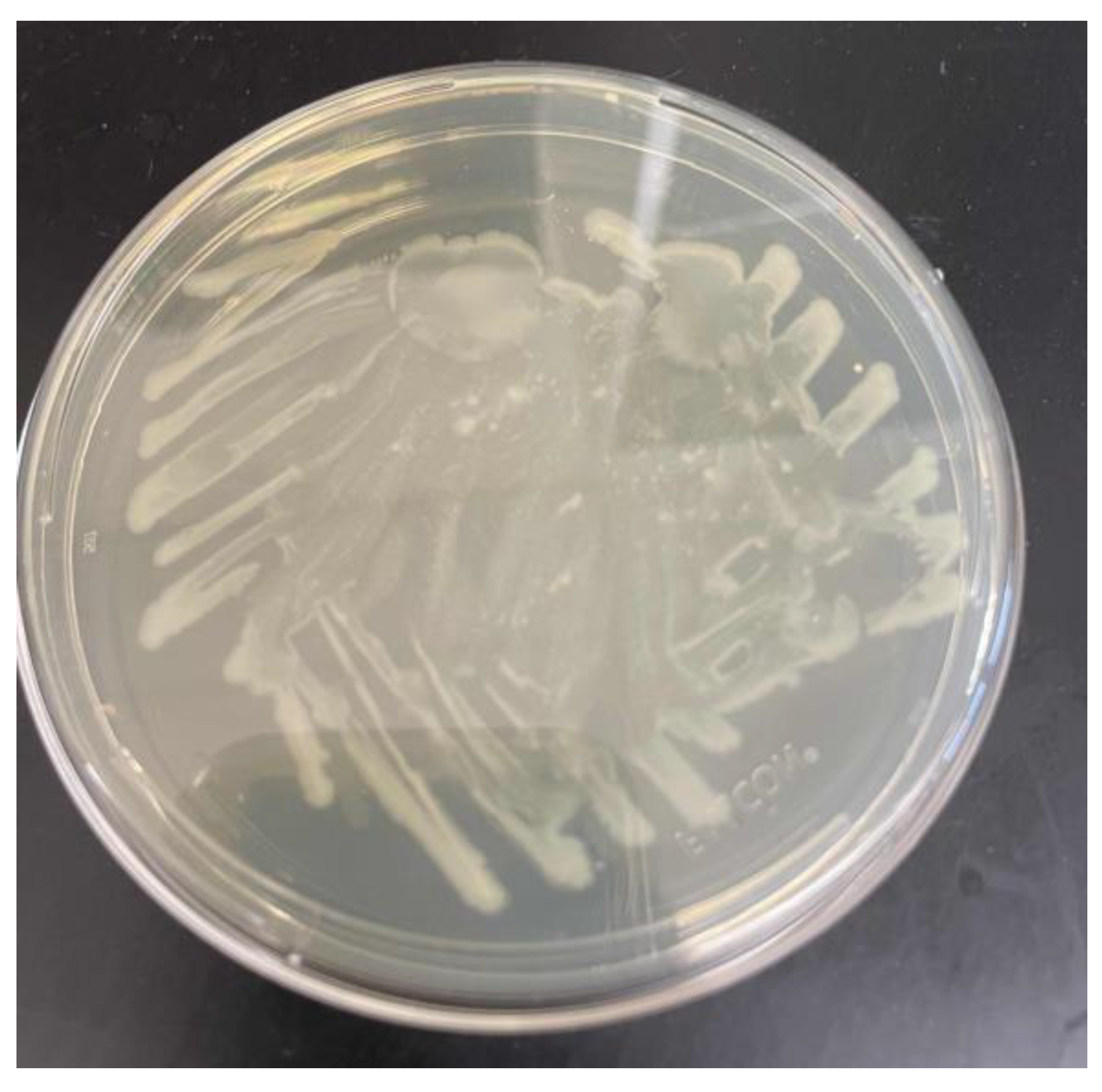 Preprints 149845 g001