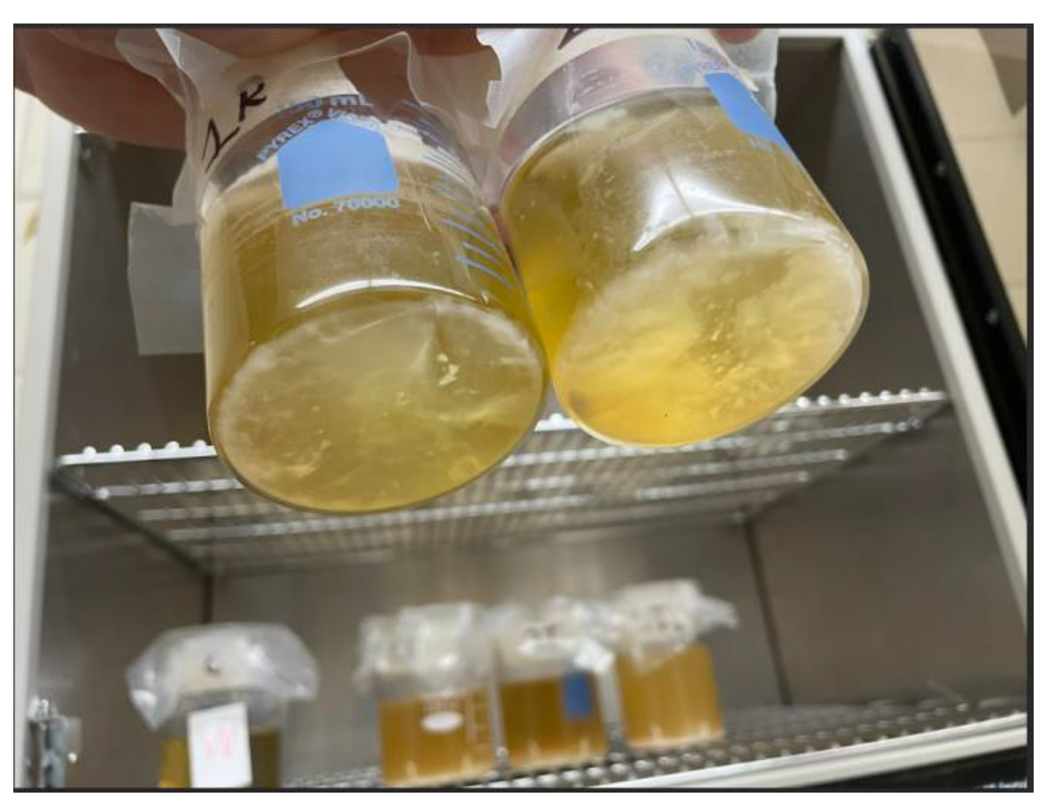 Preprints 149845 g002