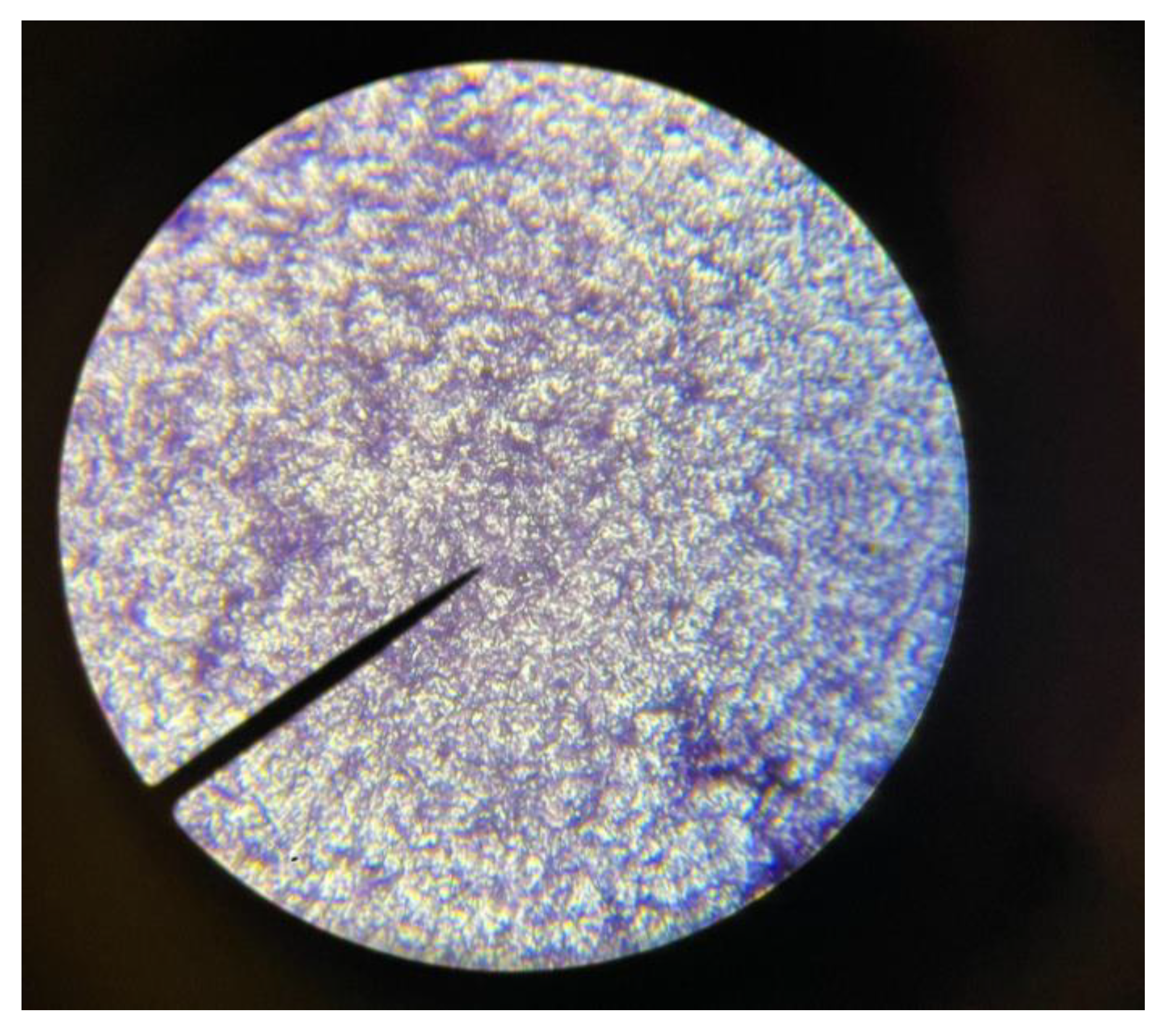 Preprints 149845 g004