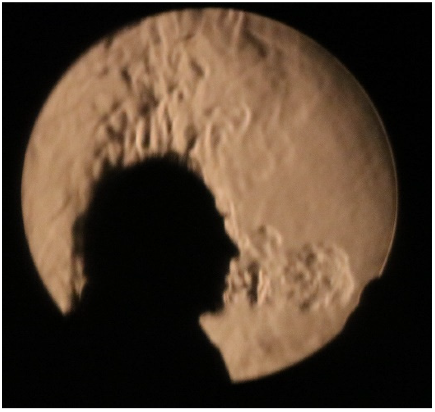 Preprints 96049 g002