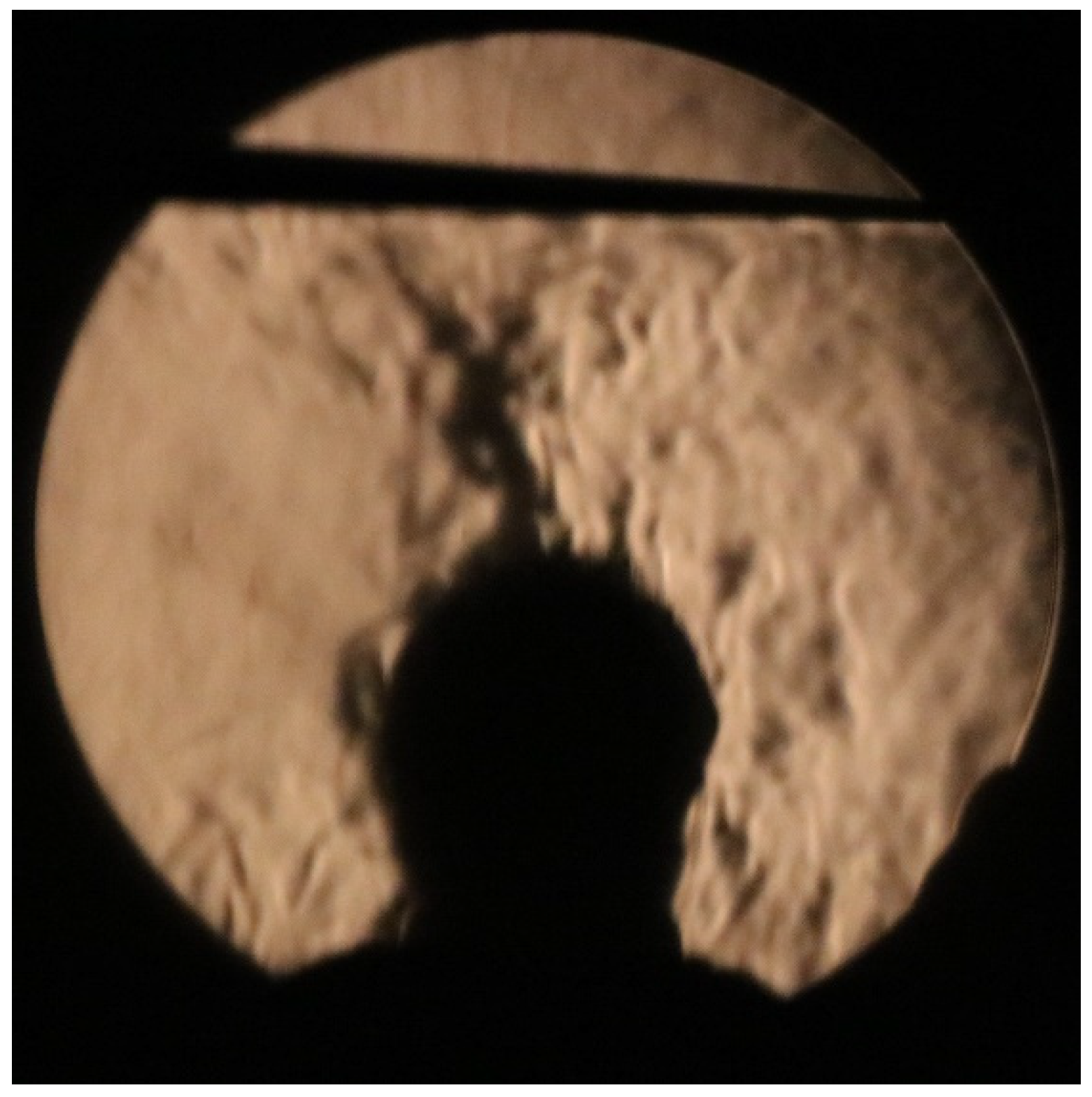 Preprints 96049 g006