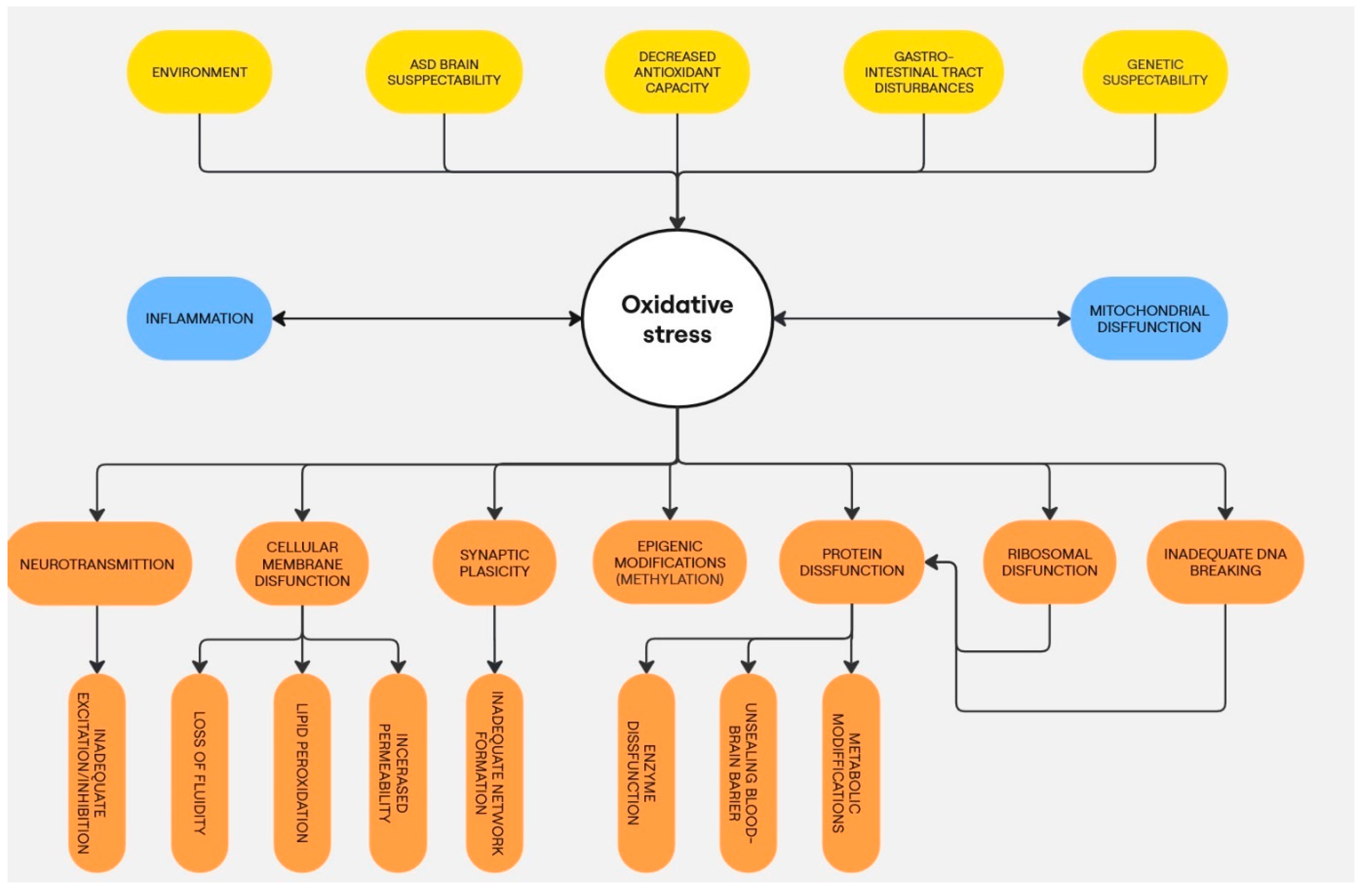 Preprints 144601 g001