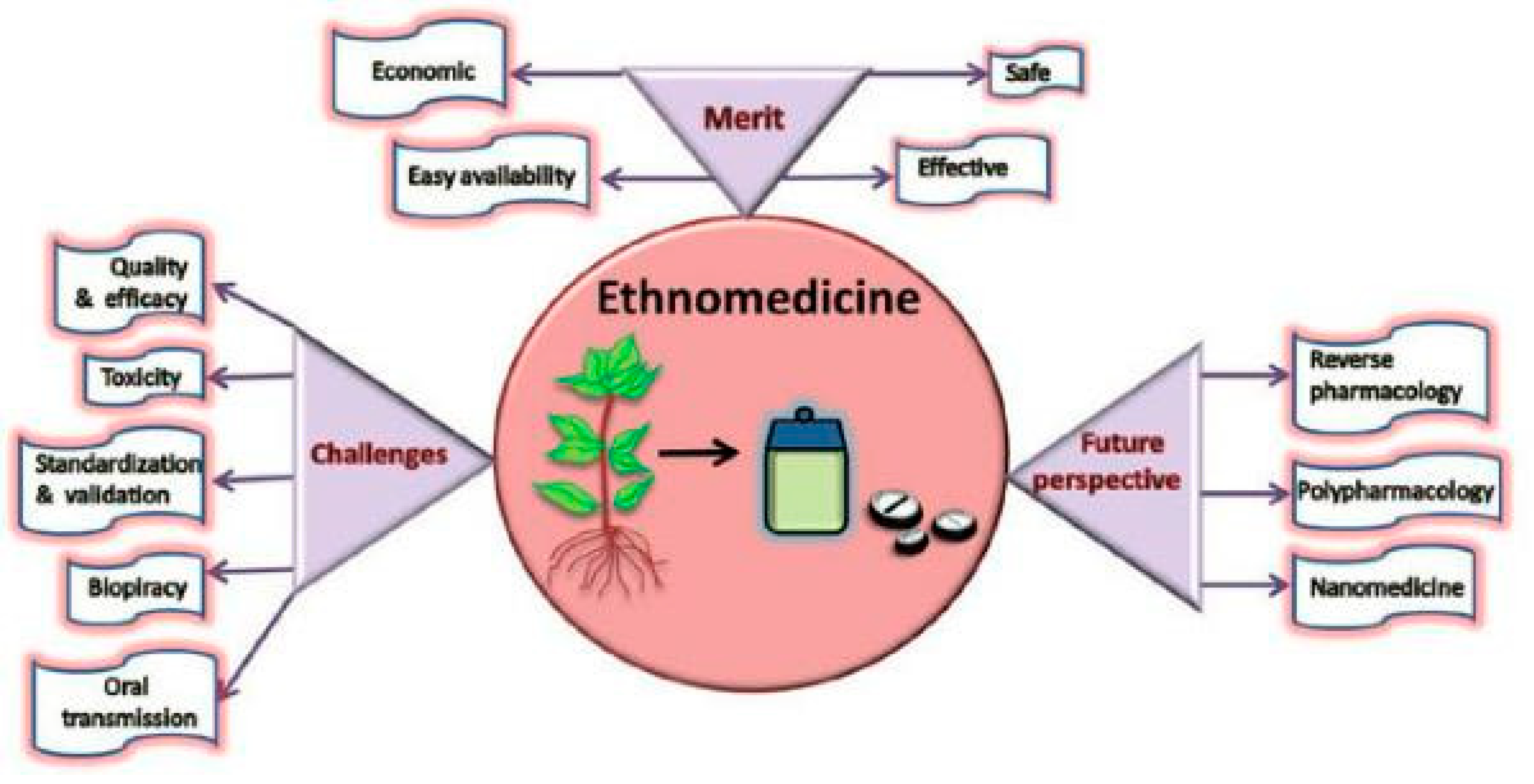Preprints 82840 g005