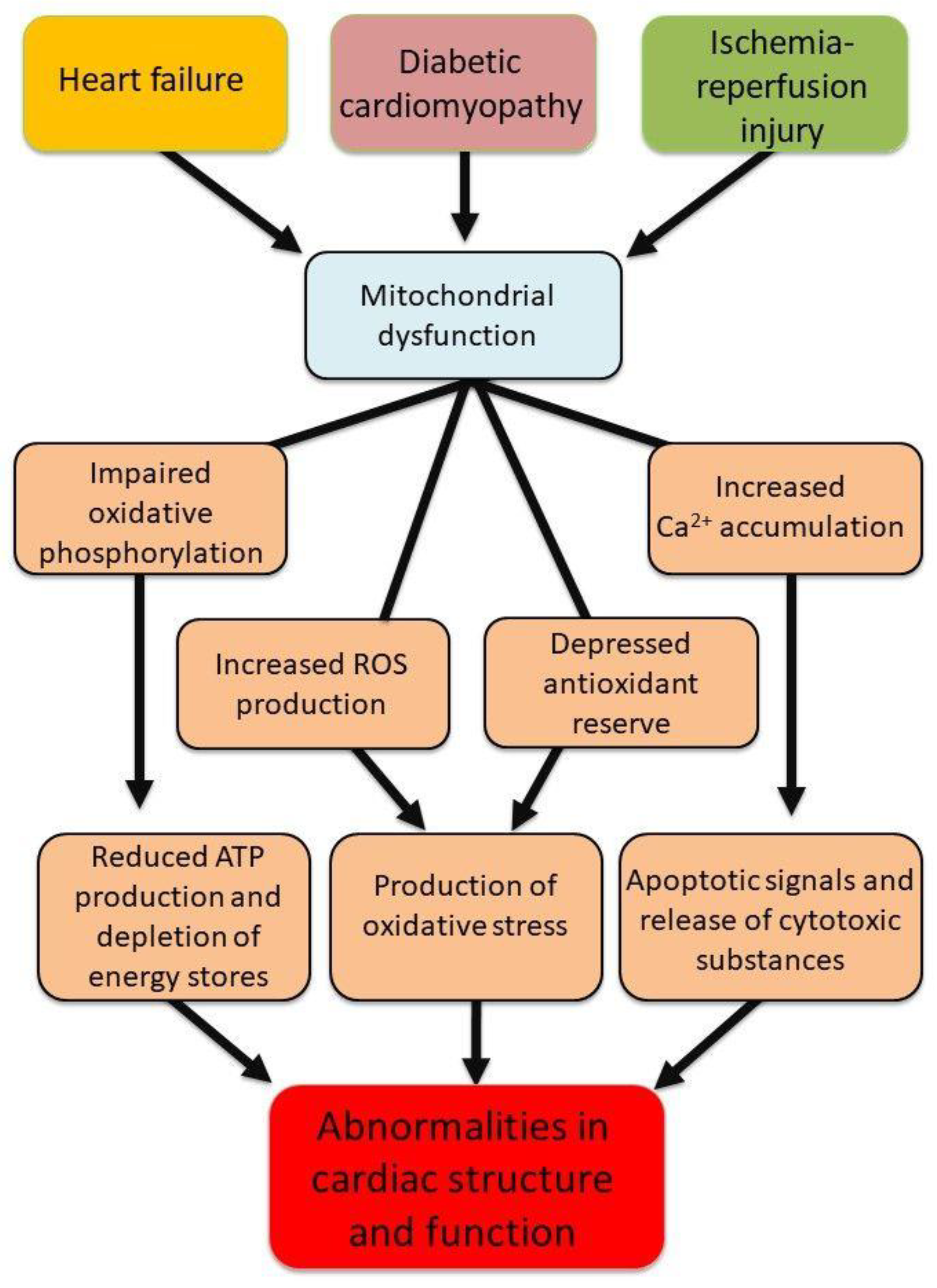 Preprints 154302 g001