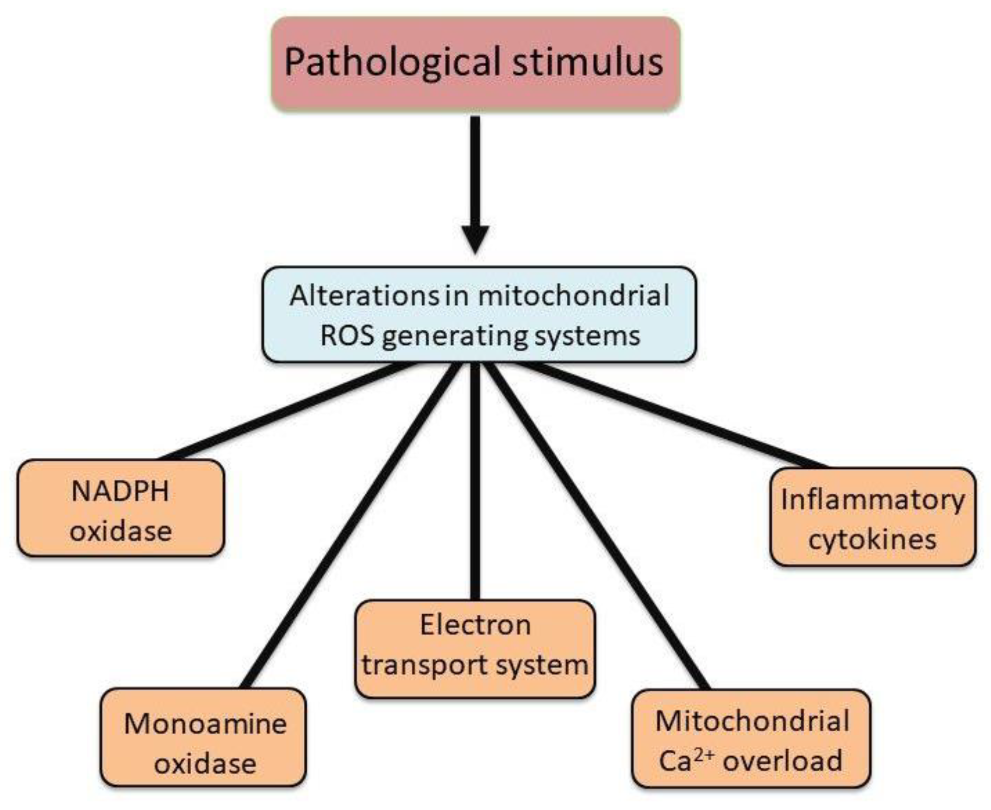 Preprints 154302 g002