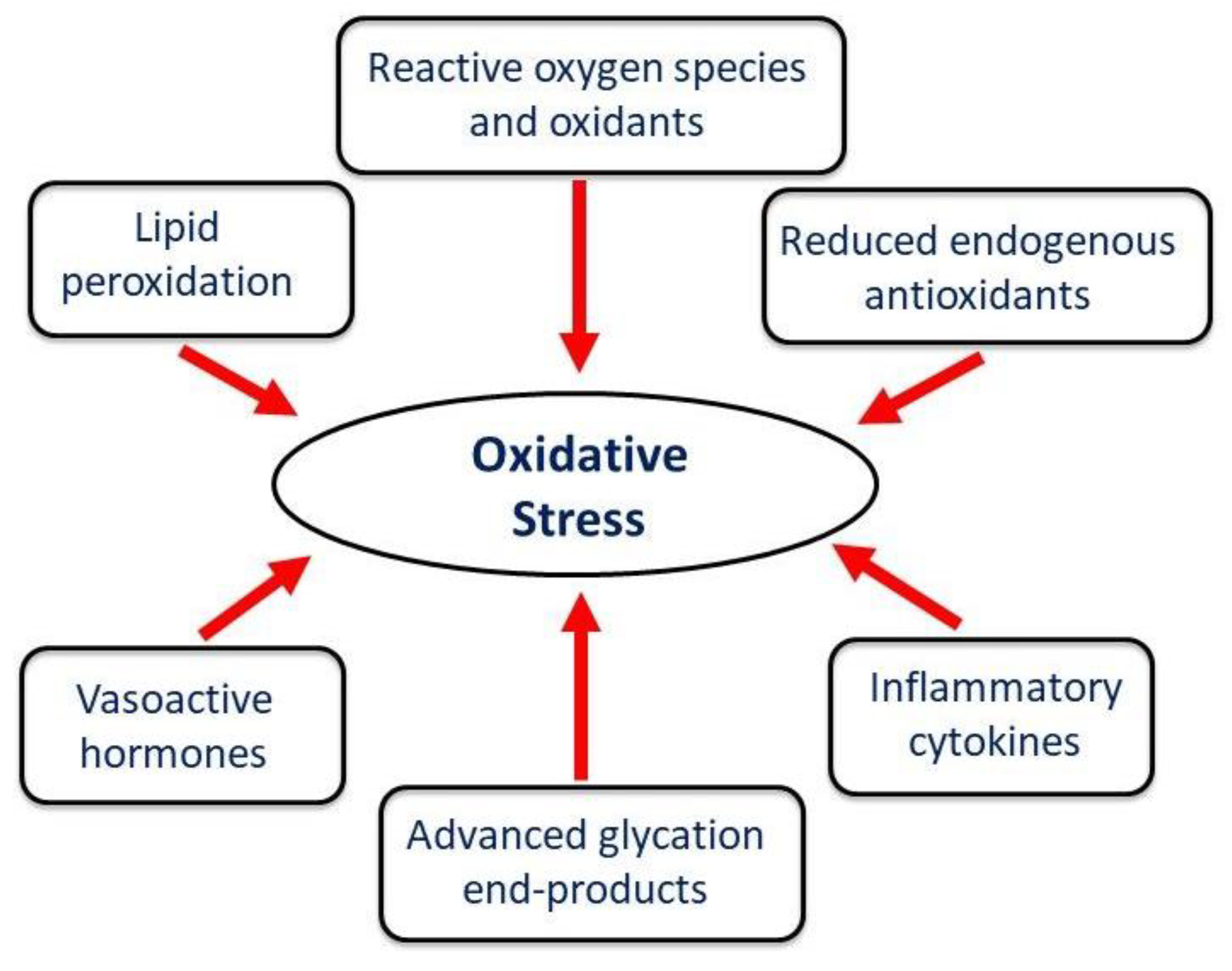 Preprints 154302 g003