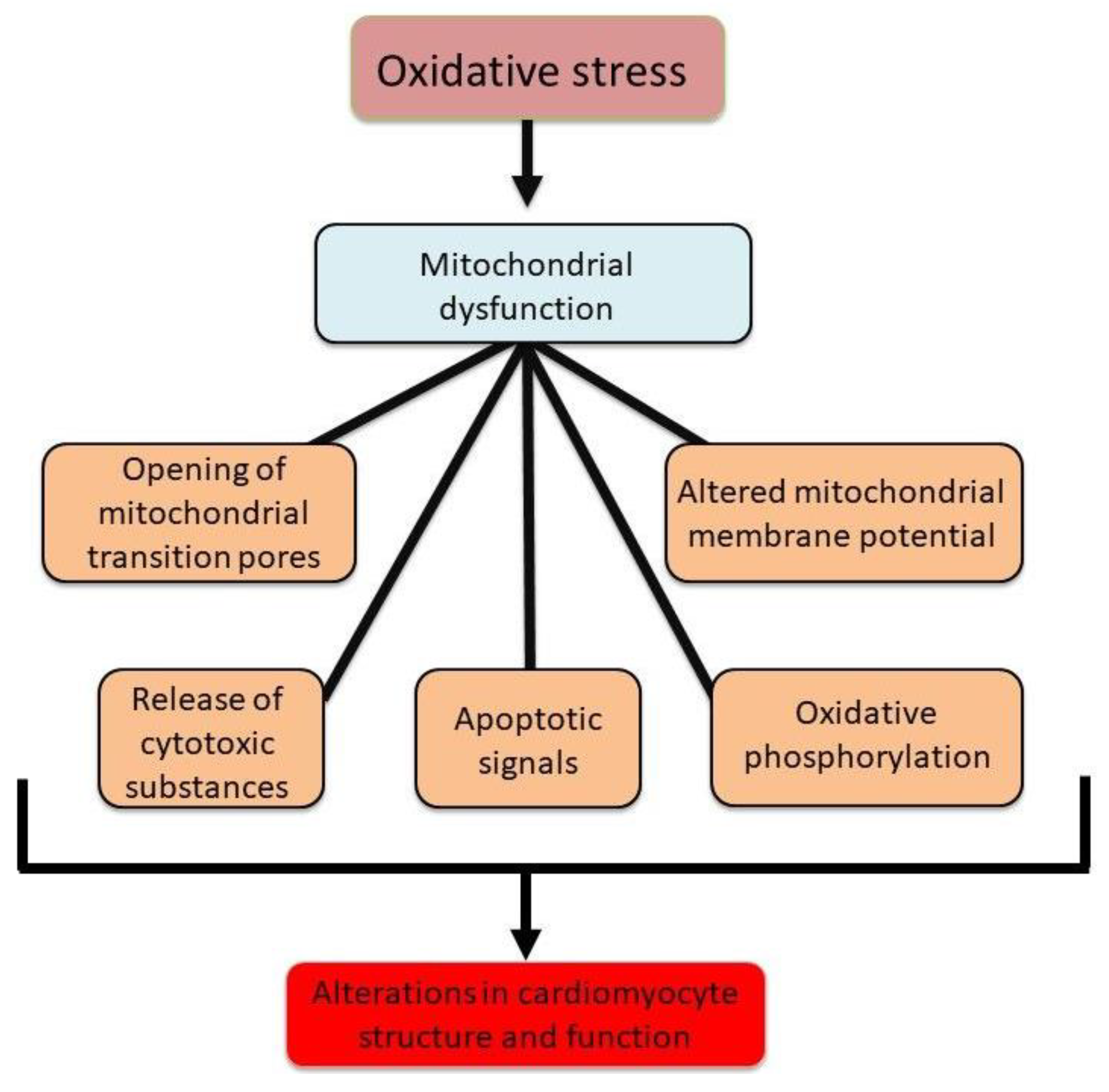 Preprints 154302 g004