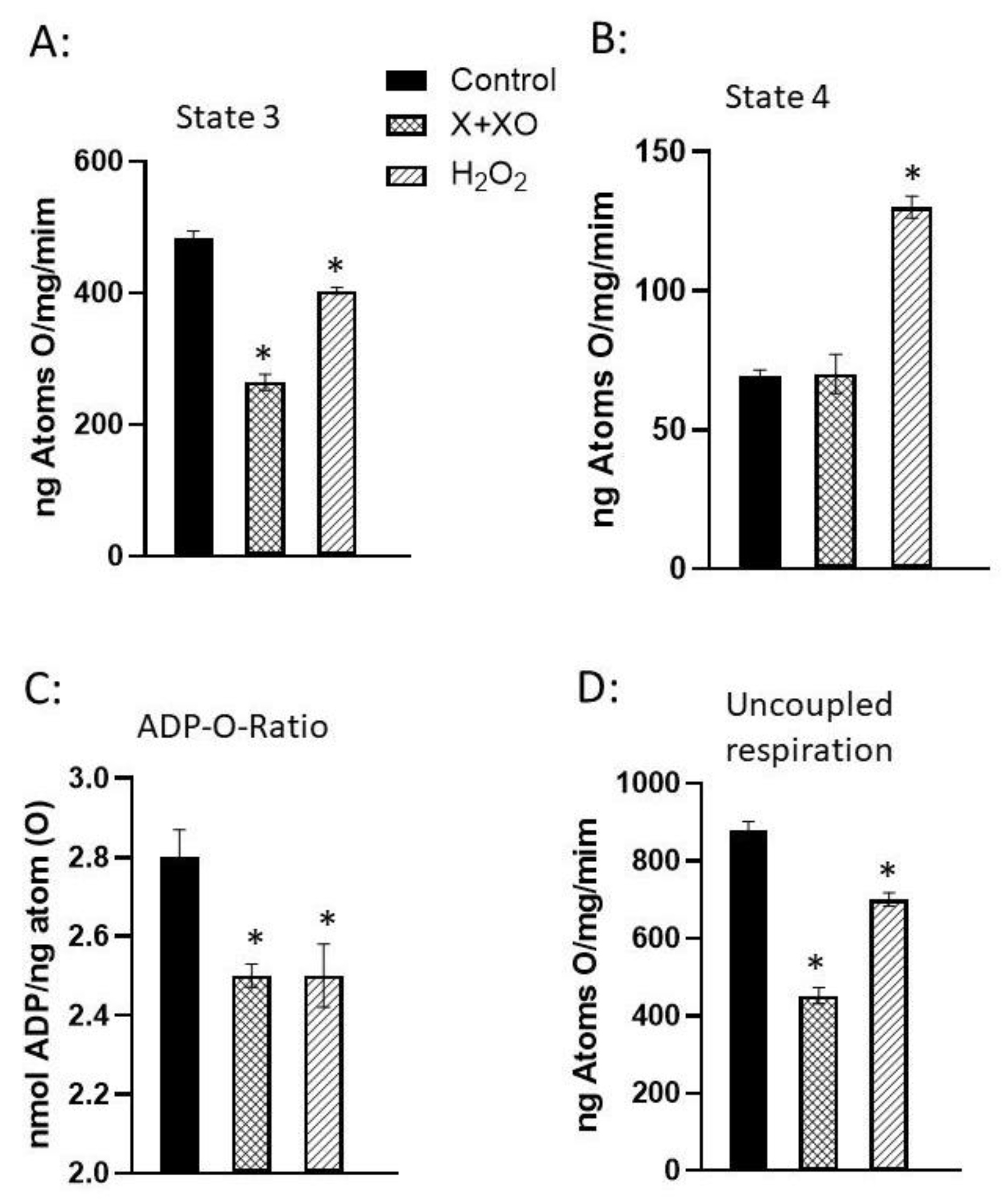 Preprints 154302 g005