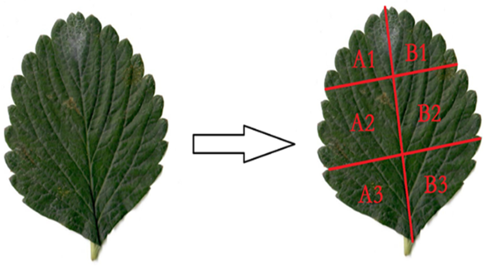 Preprints 162135 g001