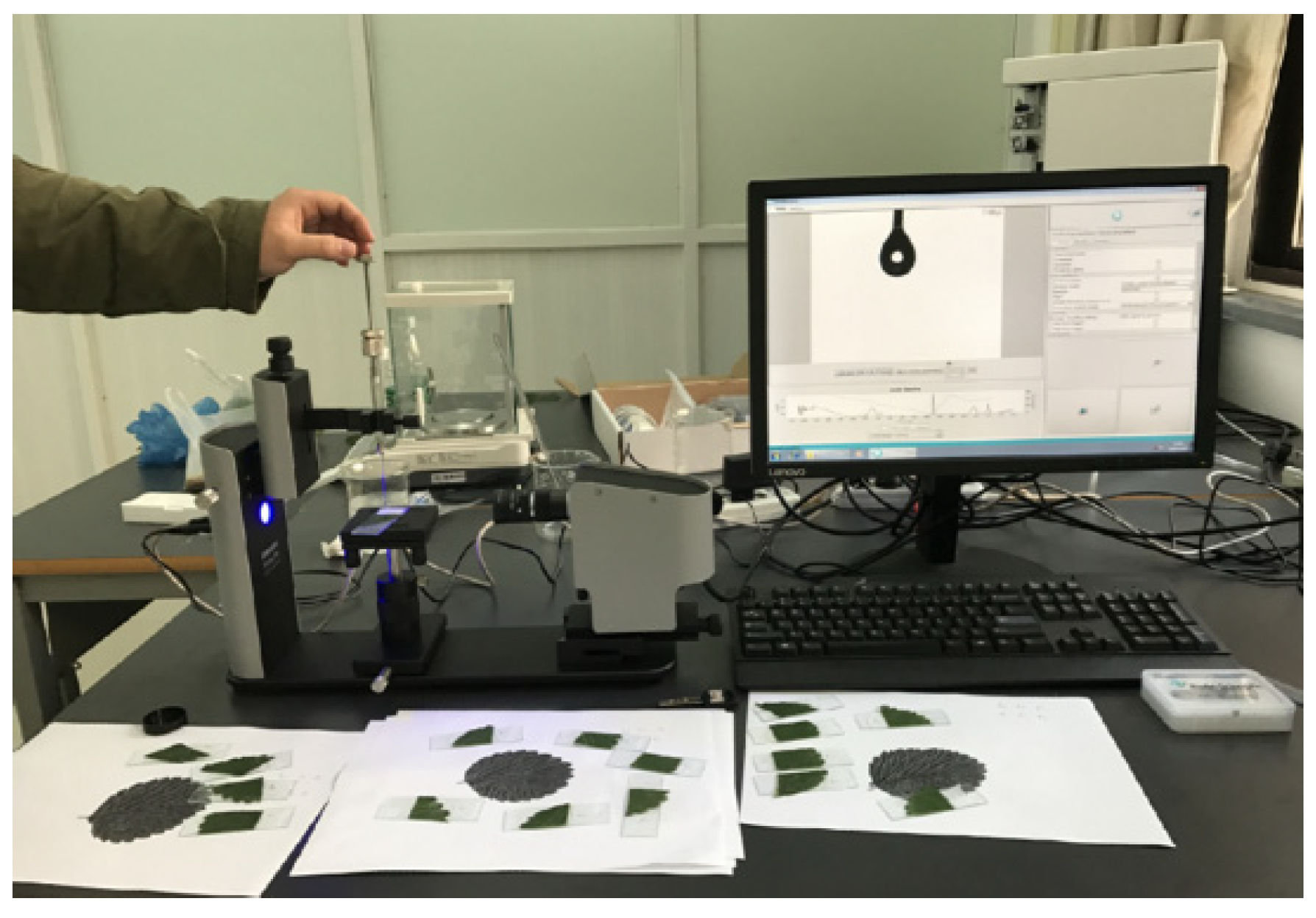 Preprints 162135 g002