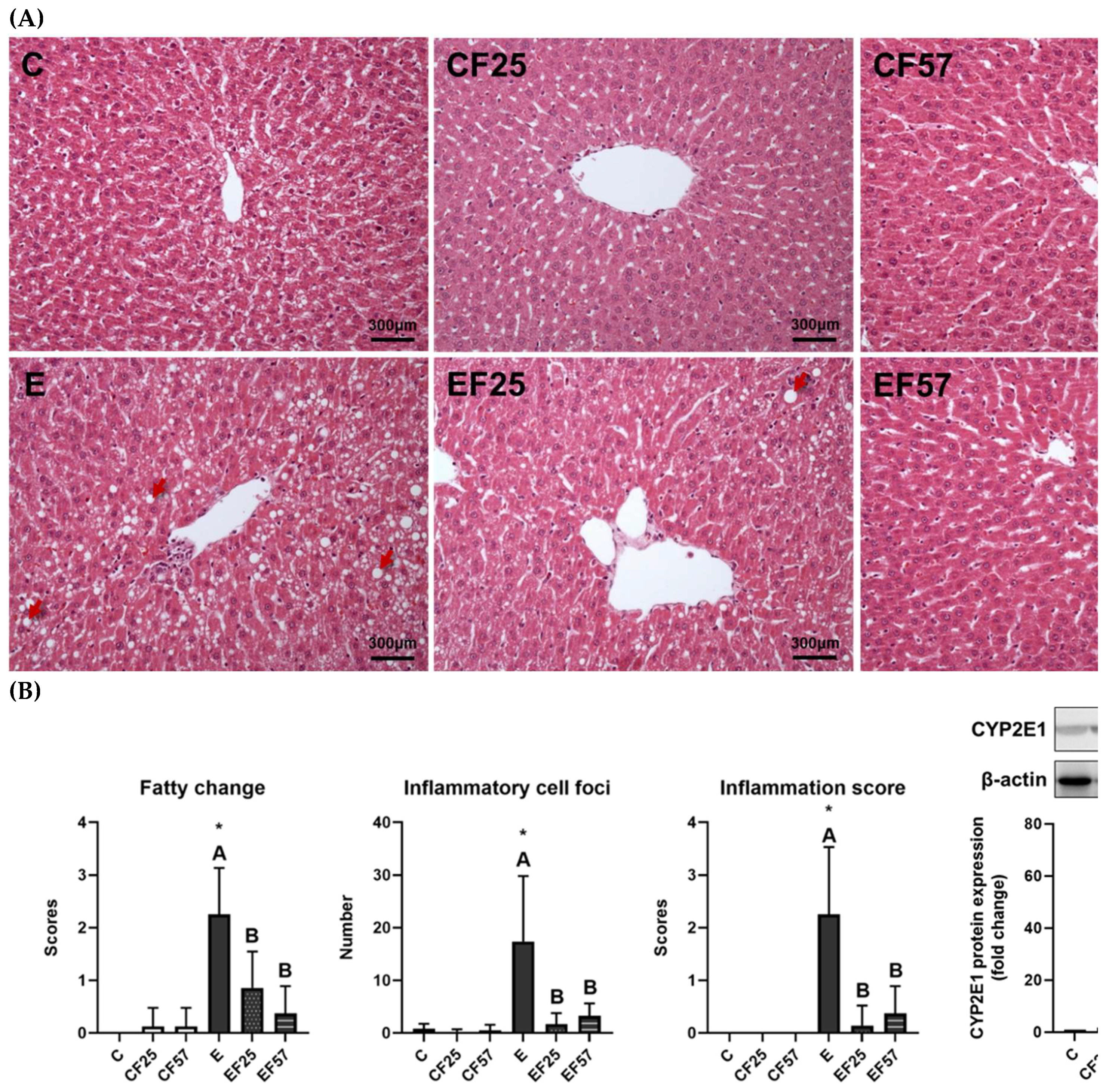 Preprints 160112 g001
