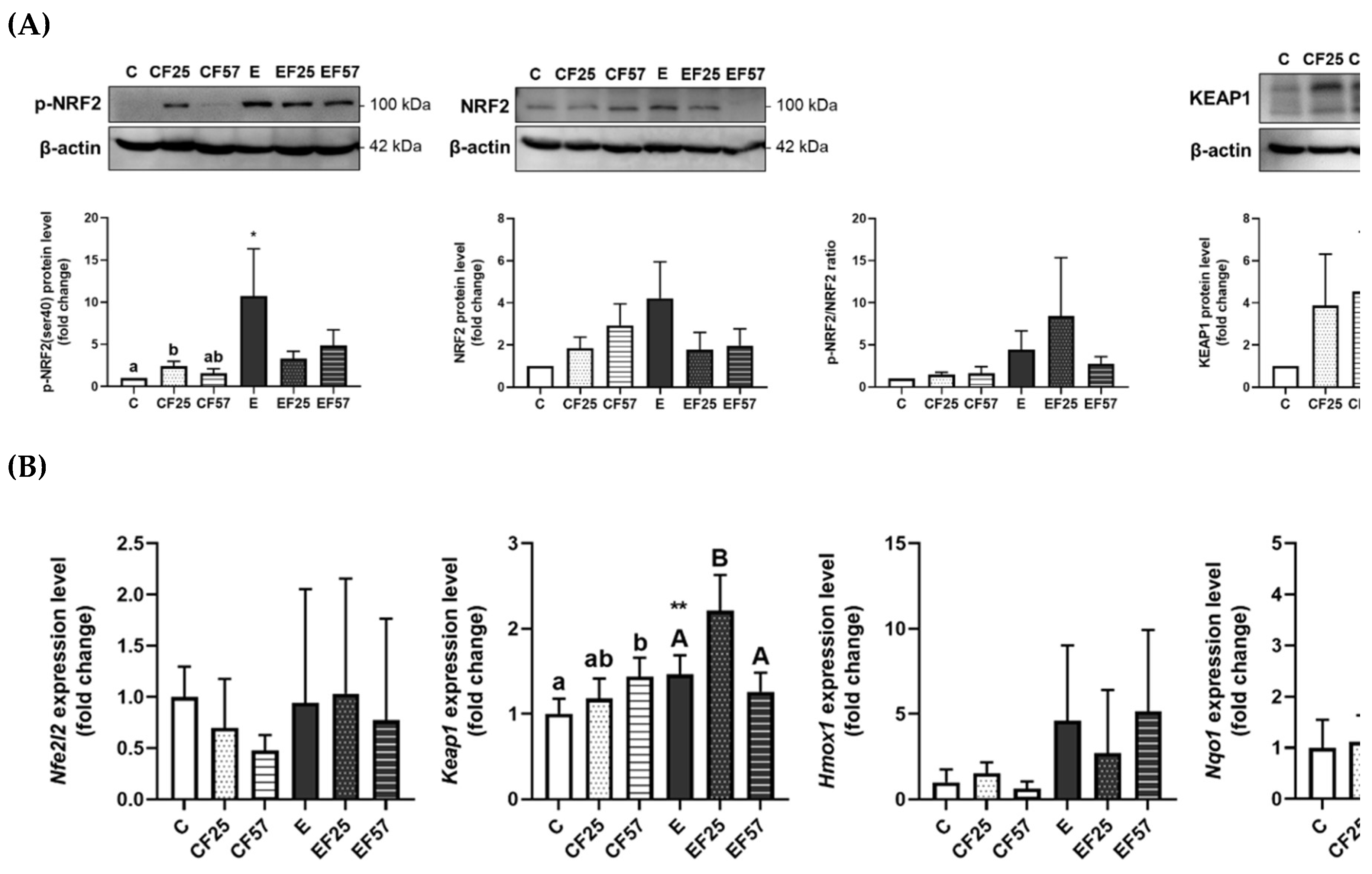 Preprints 160112 g002
