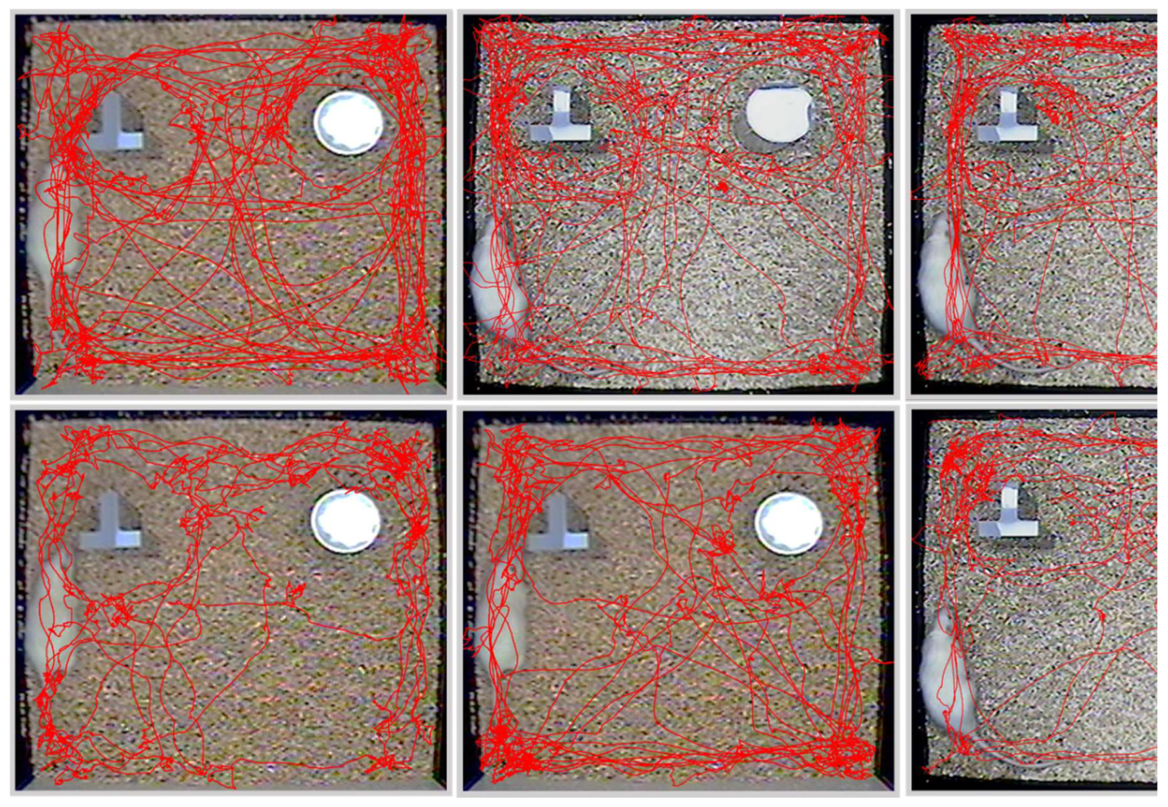 Preprints 160112 g003b